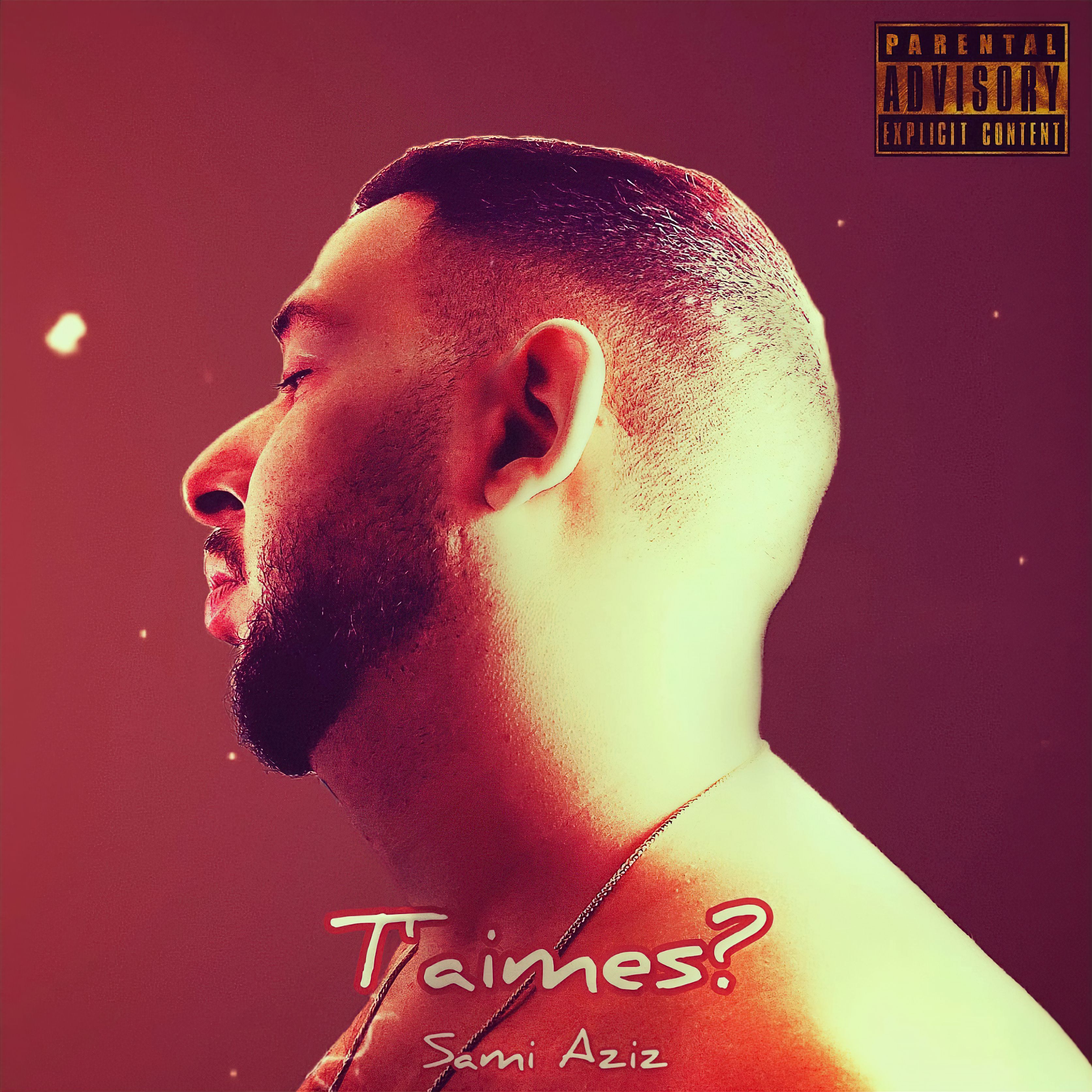 T'aimes? by Sami Aziz cover art