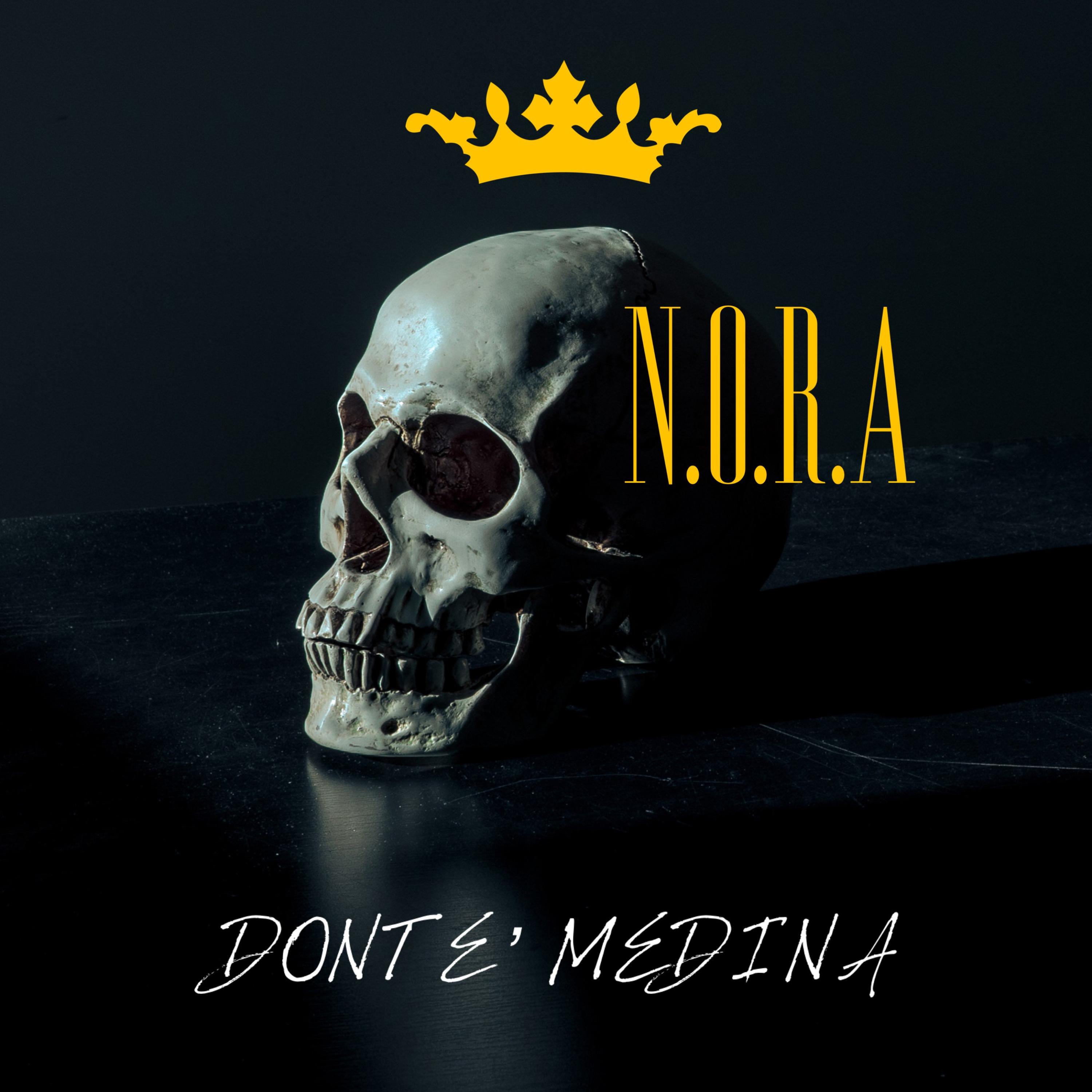N.O.R.A artwork