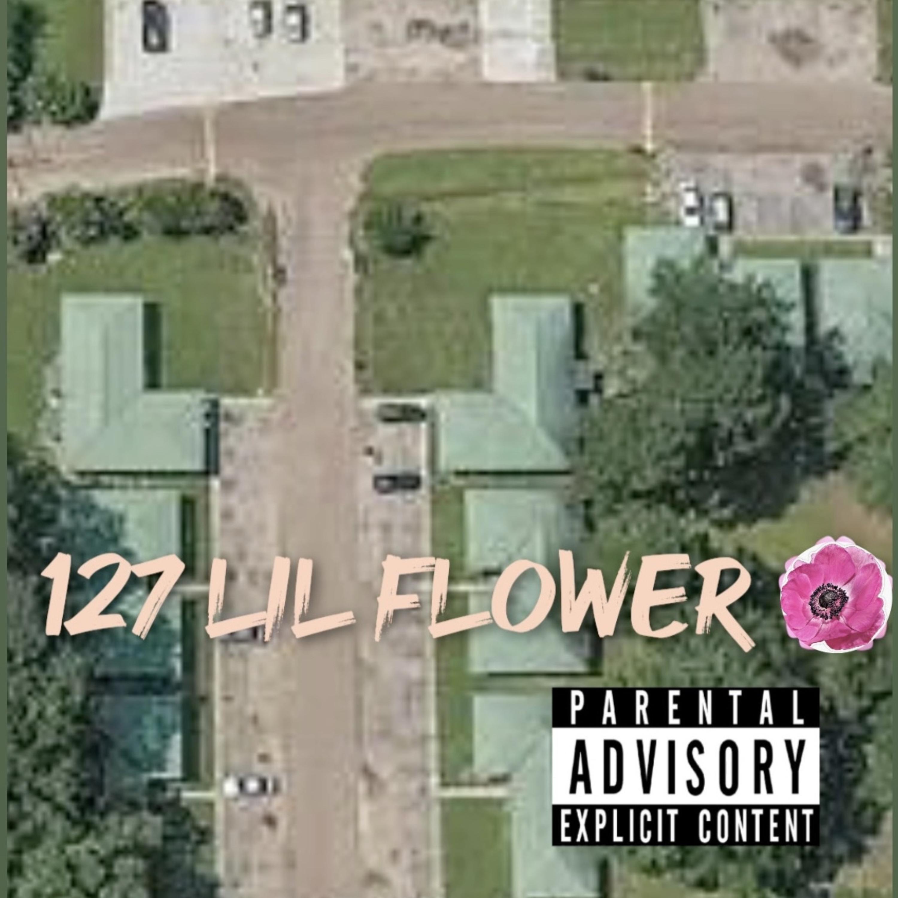 127 Lil Flower artwork
