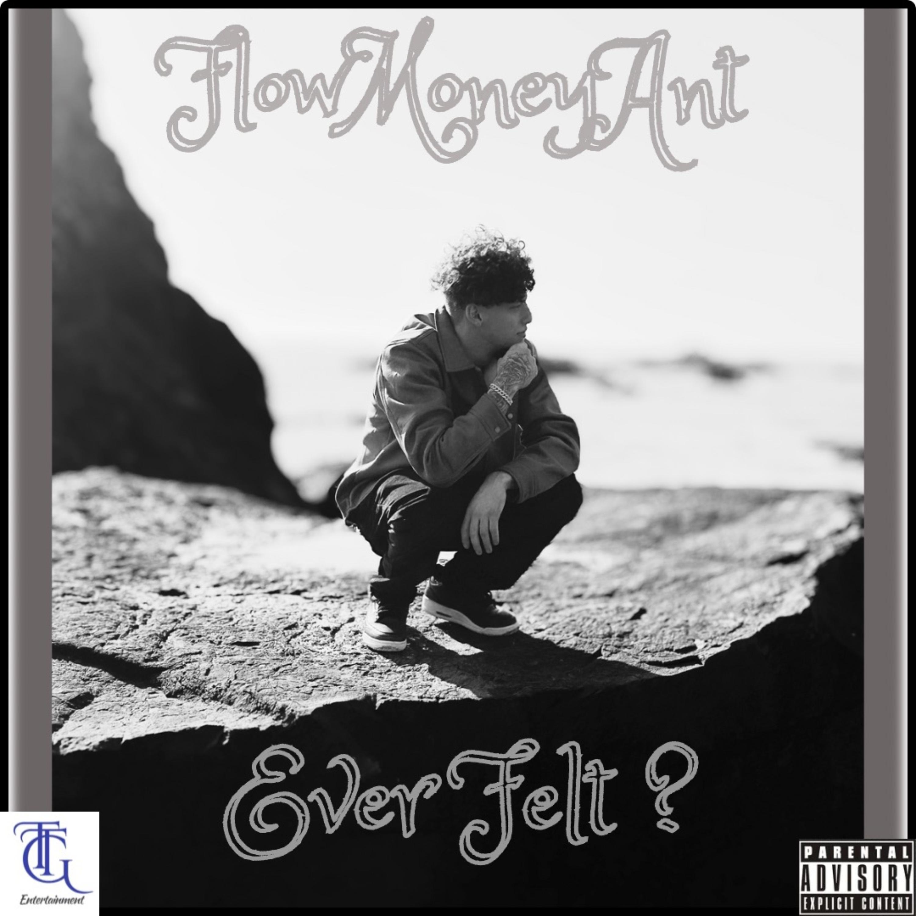 Ever Felt ? artwork