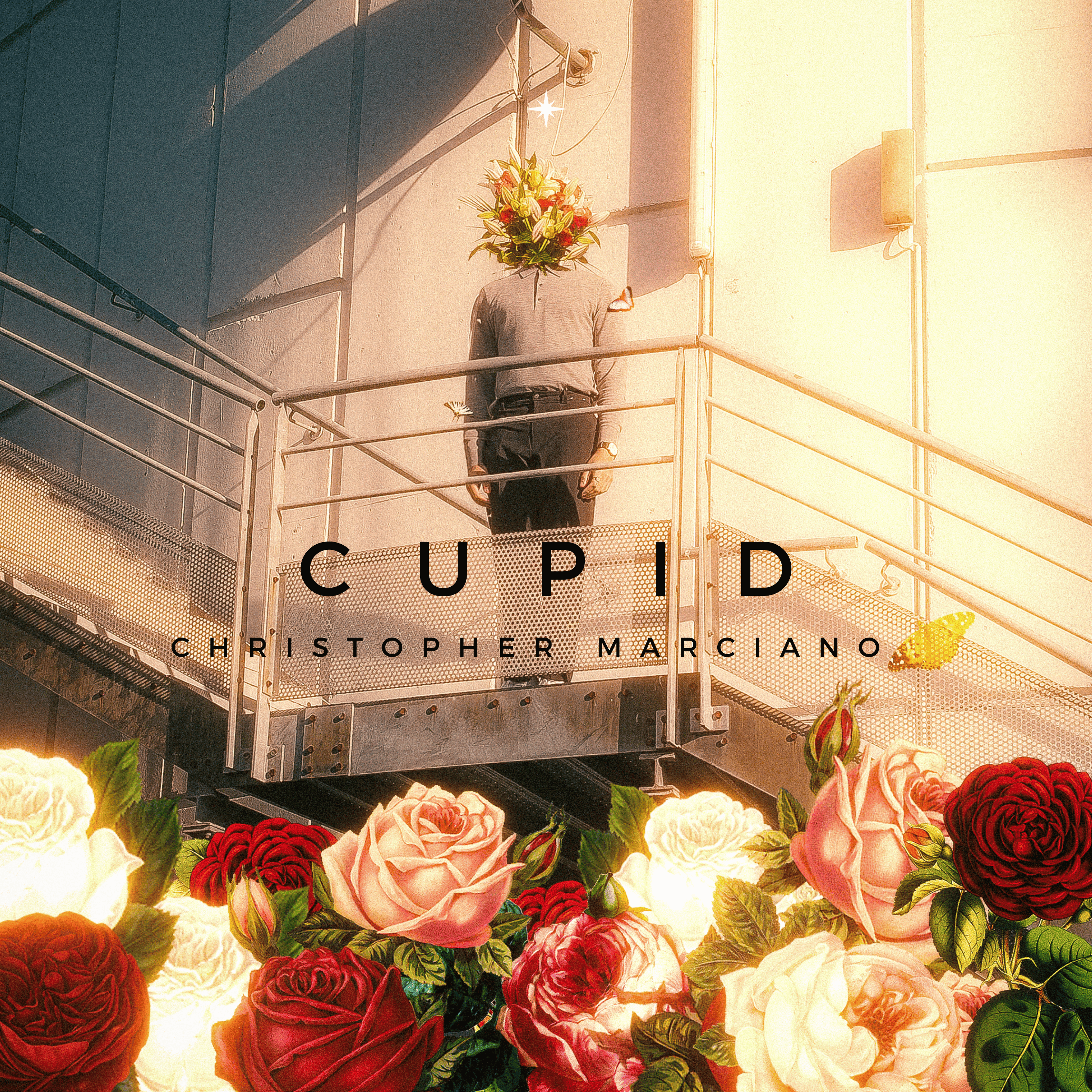 Cupid artwork