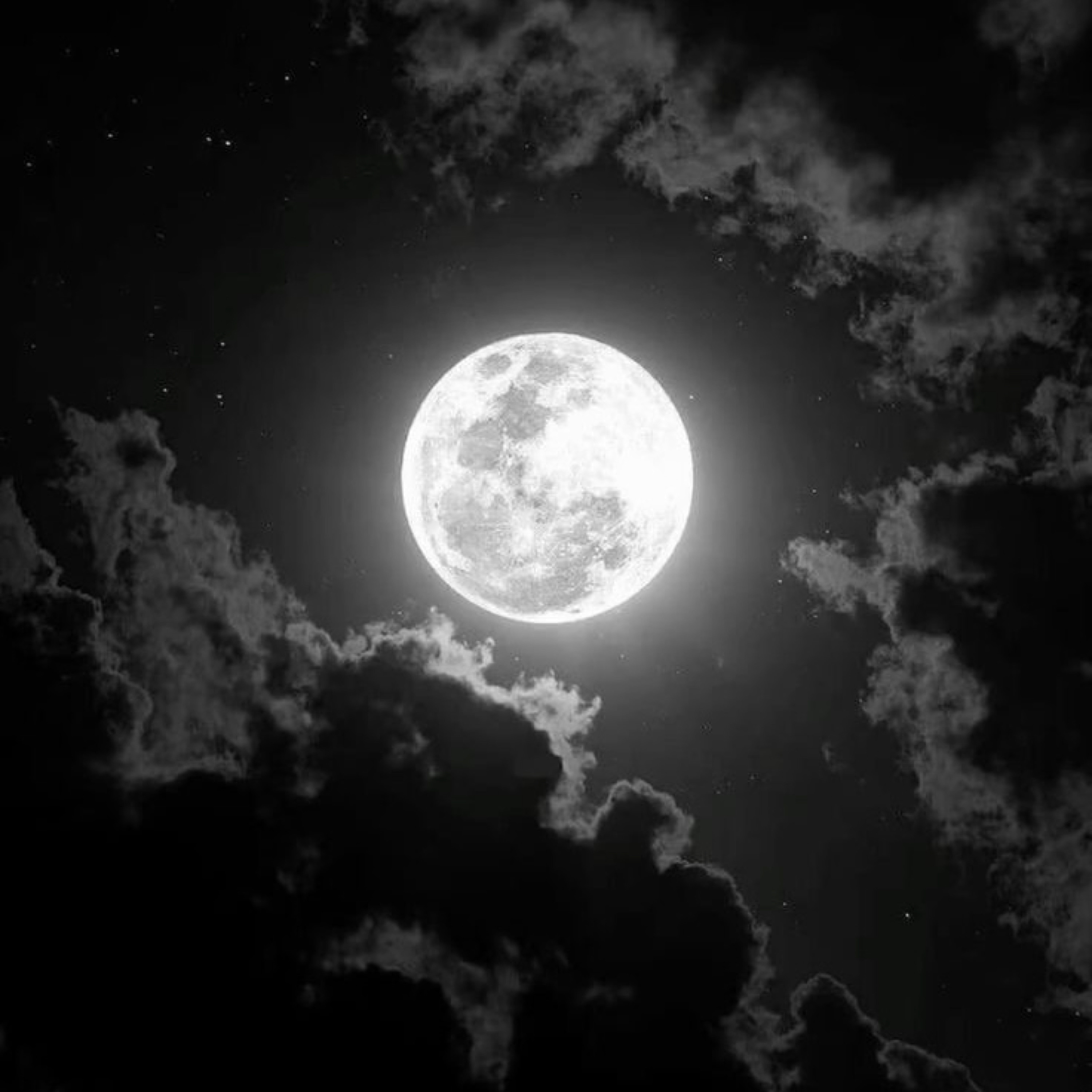 Moonlite Freestyle artwork