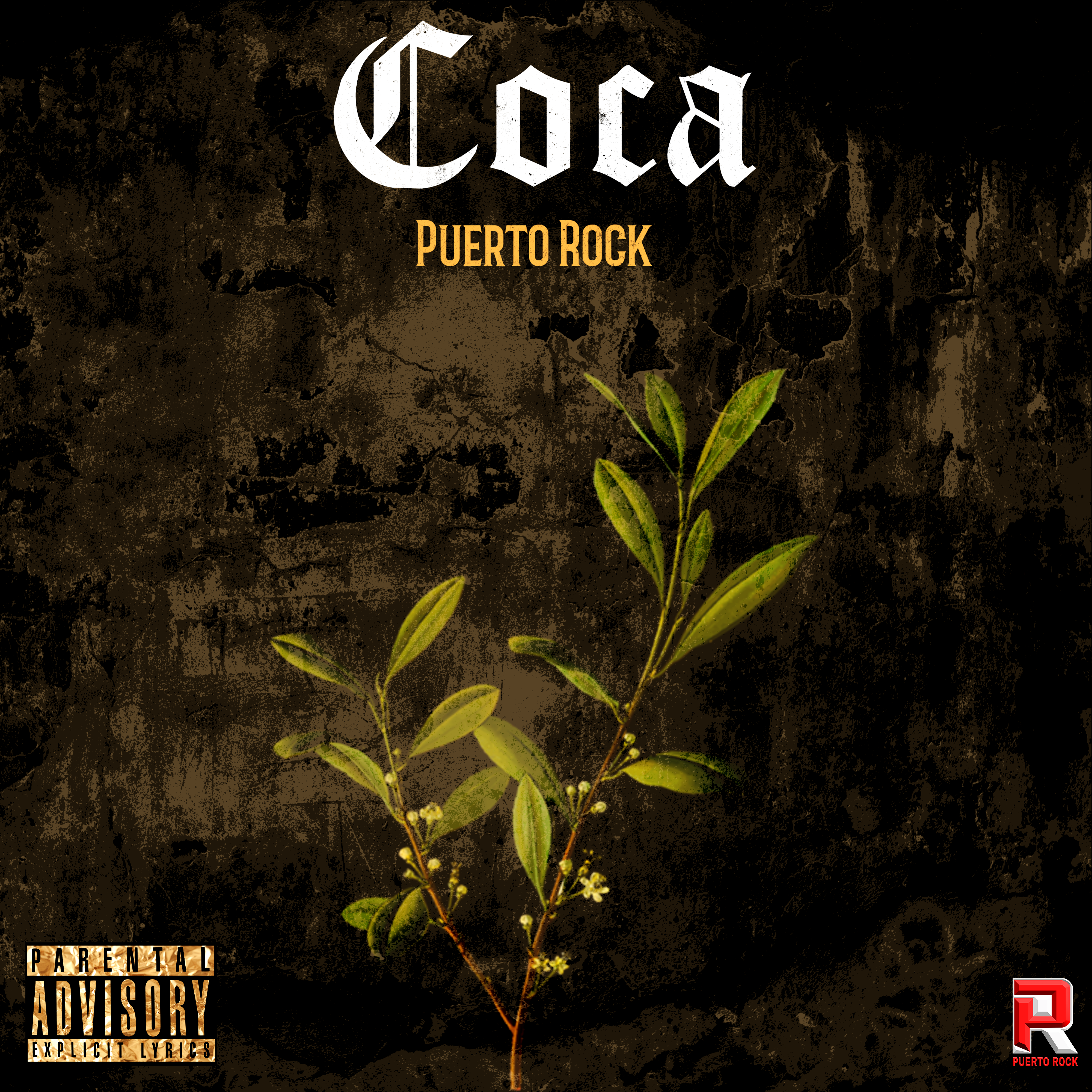 COCA artwork