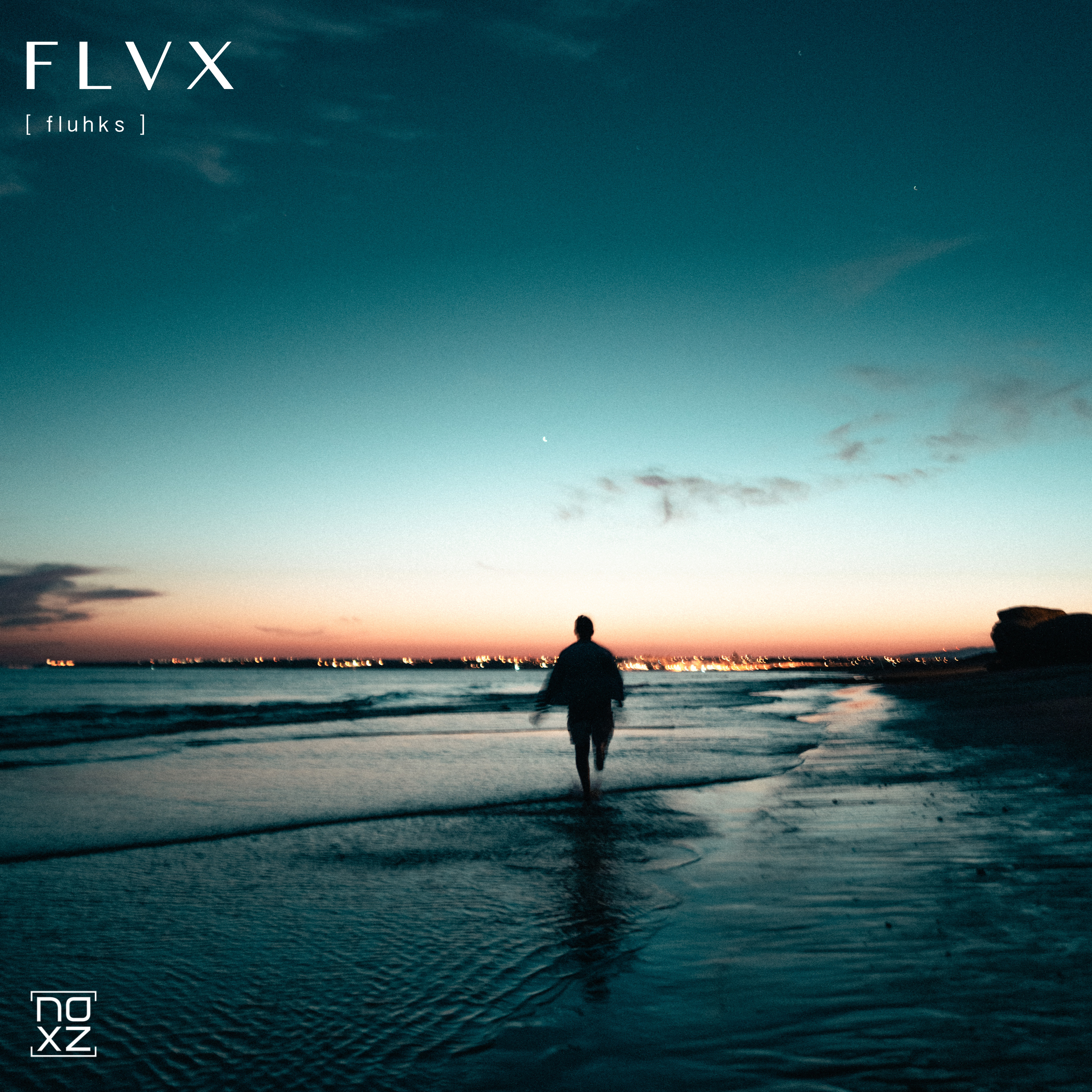 Flvx artwork