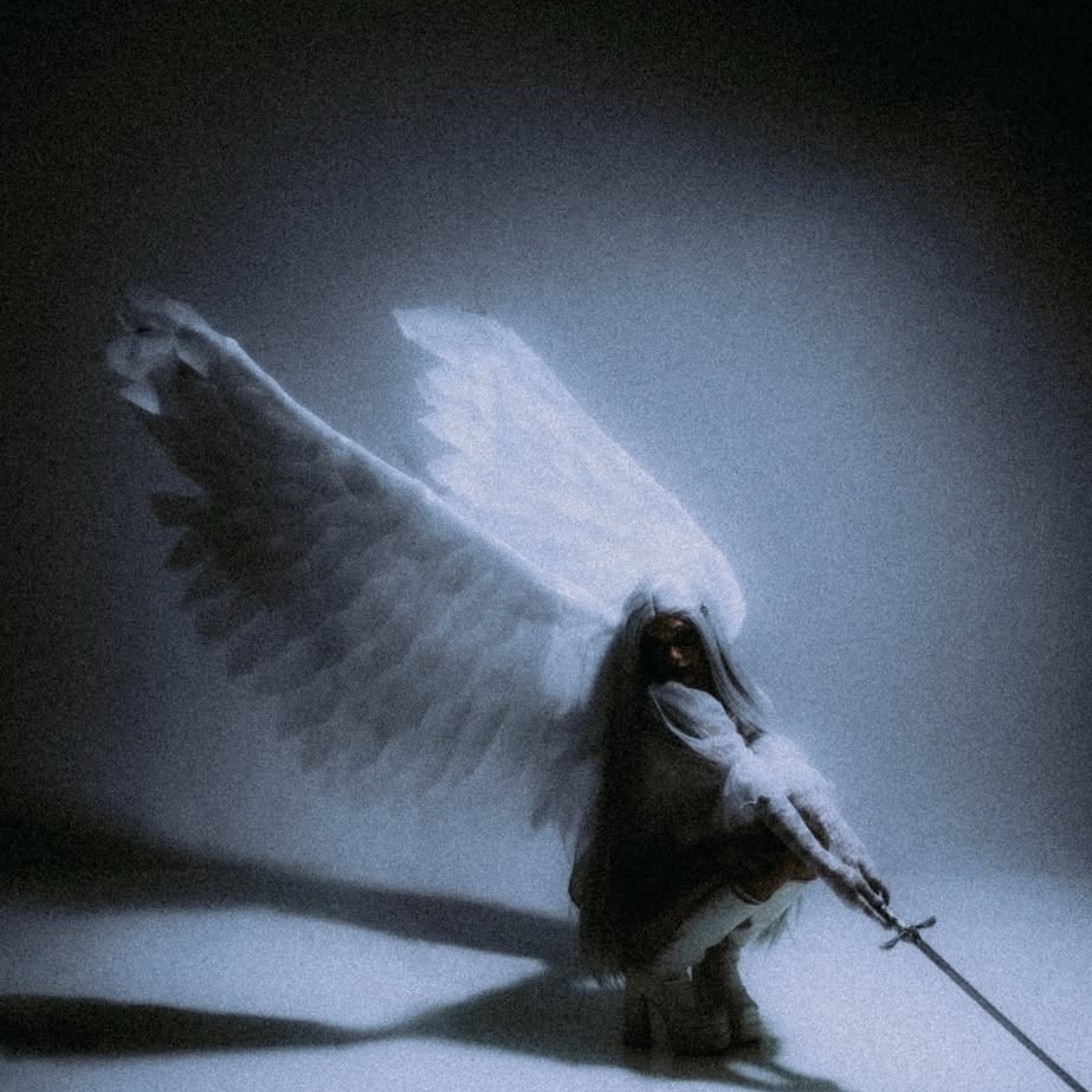 angel by Sovyrx cover art