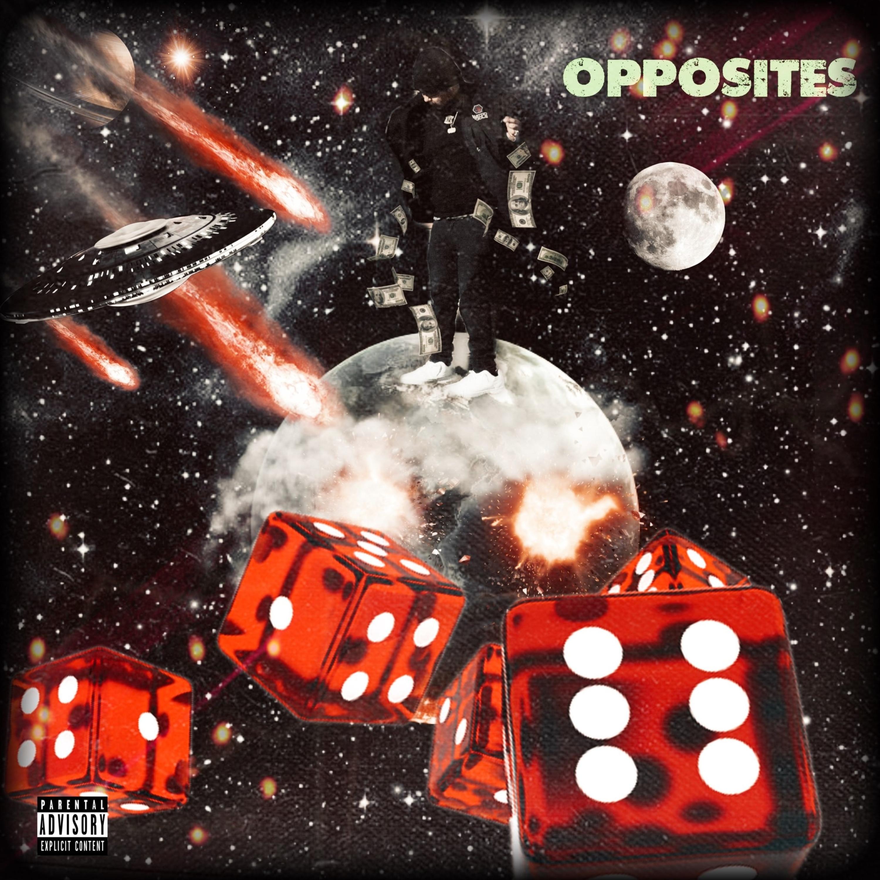 Opposites artwork