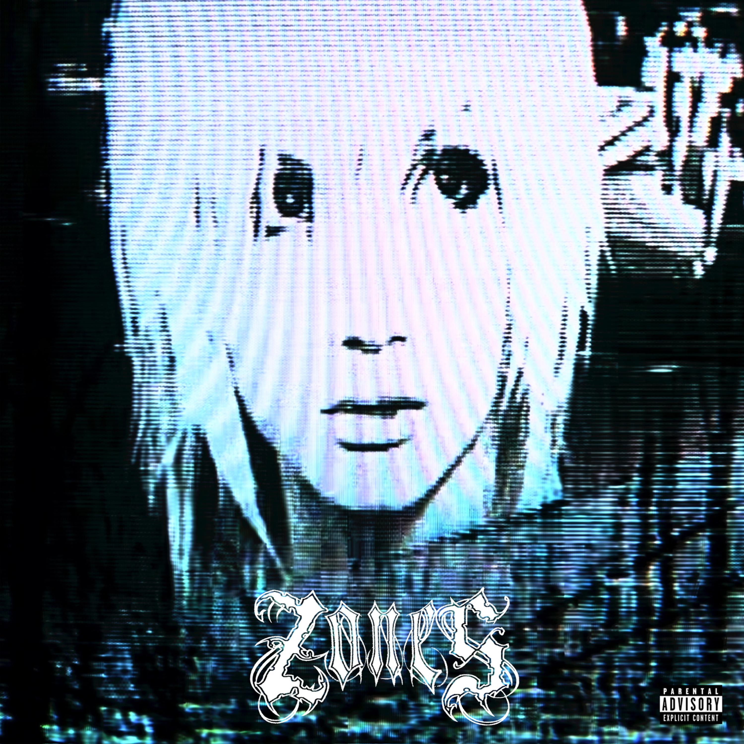 zones artwork