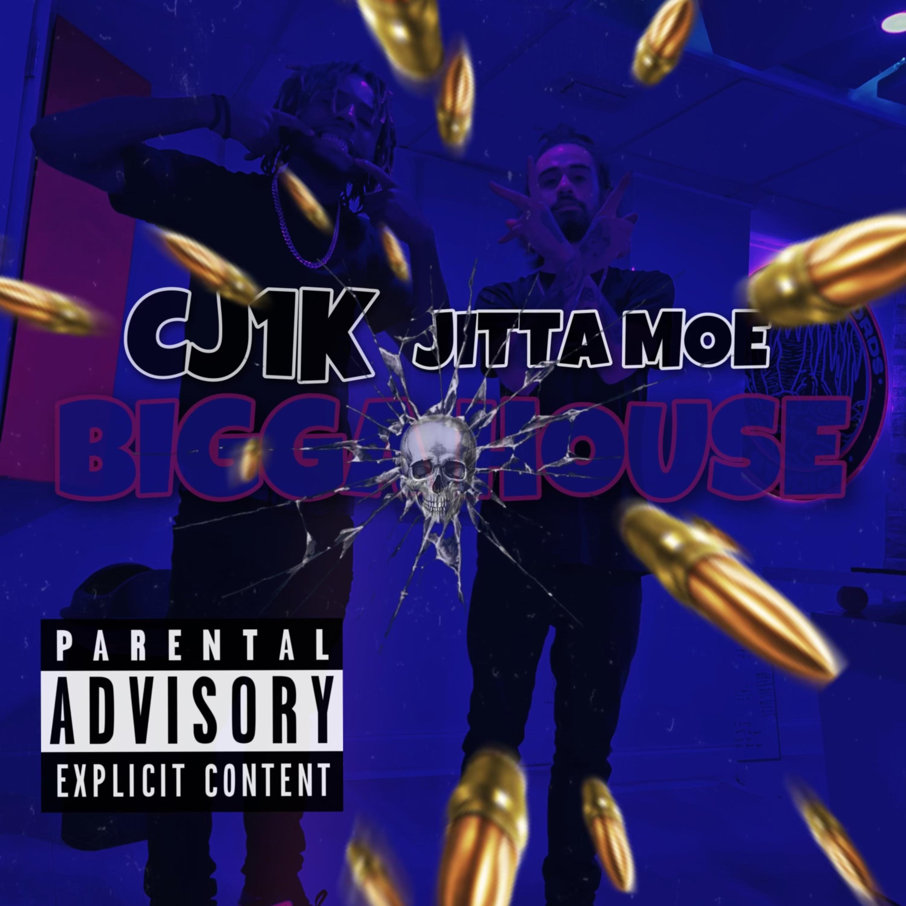 BIGGA HOUSE artwork