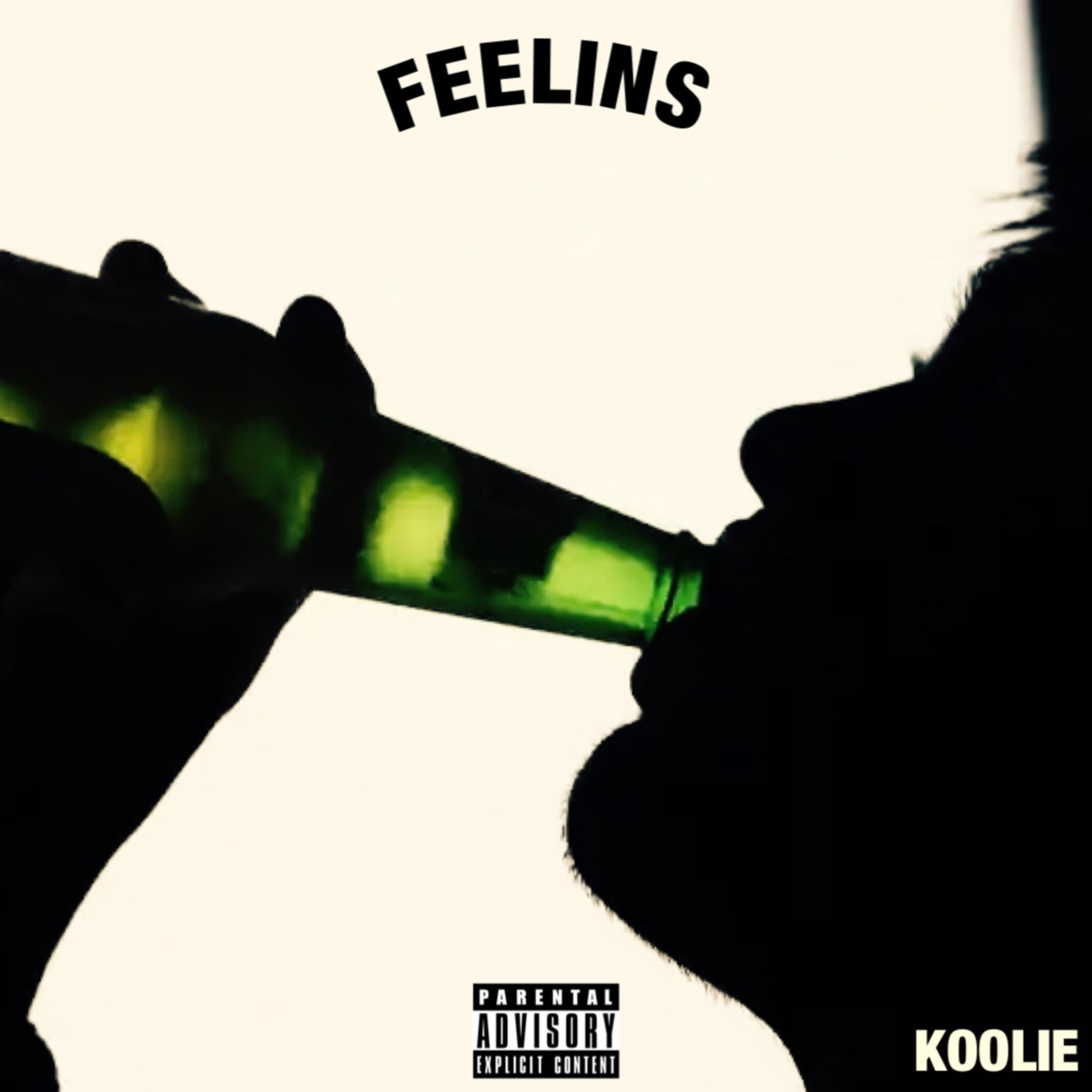 Feelins artwork
