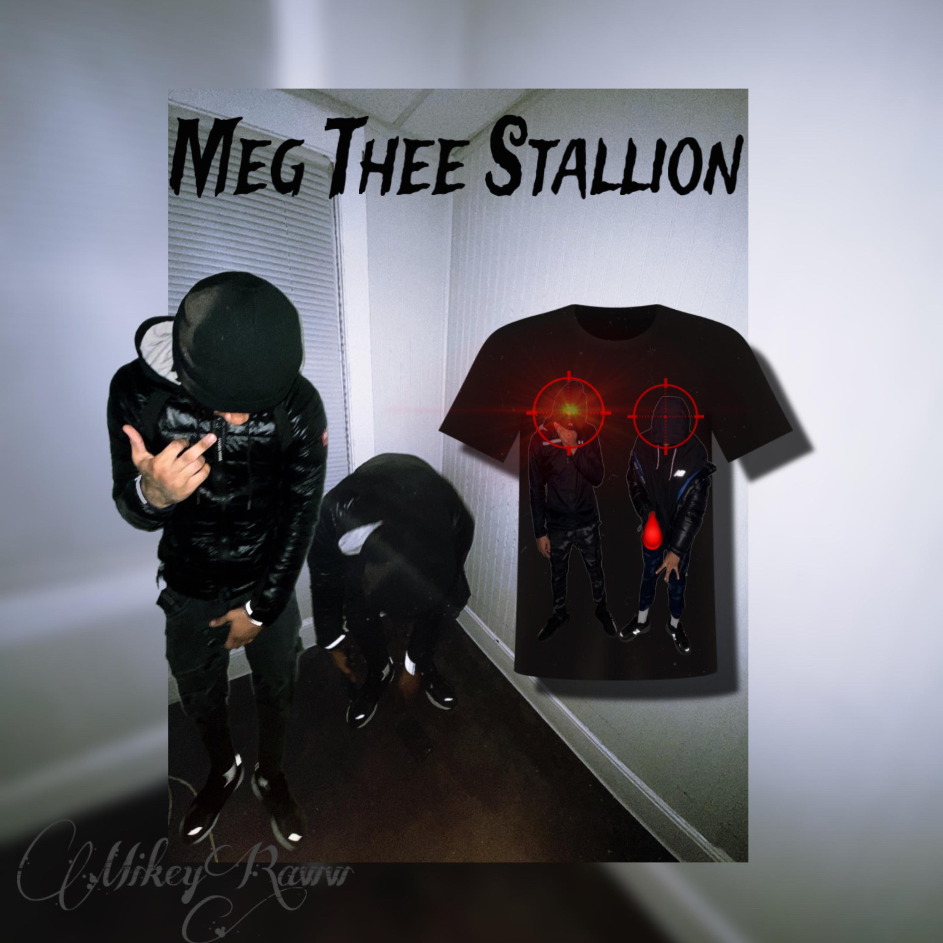 Meg Thee Stallion artwork