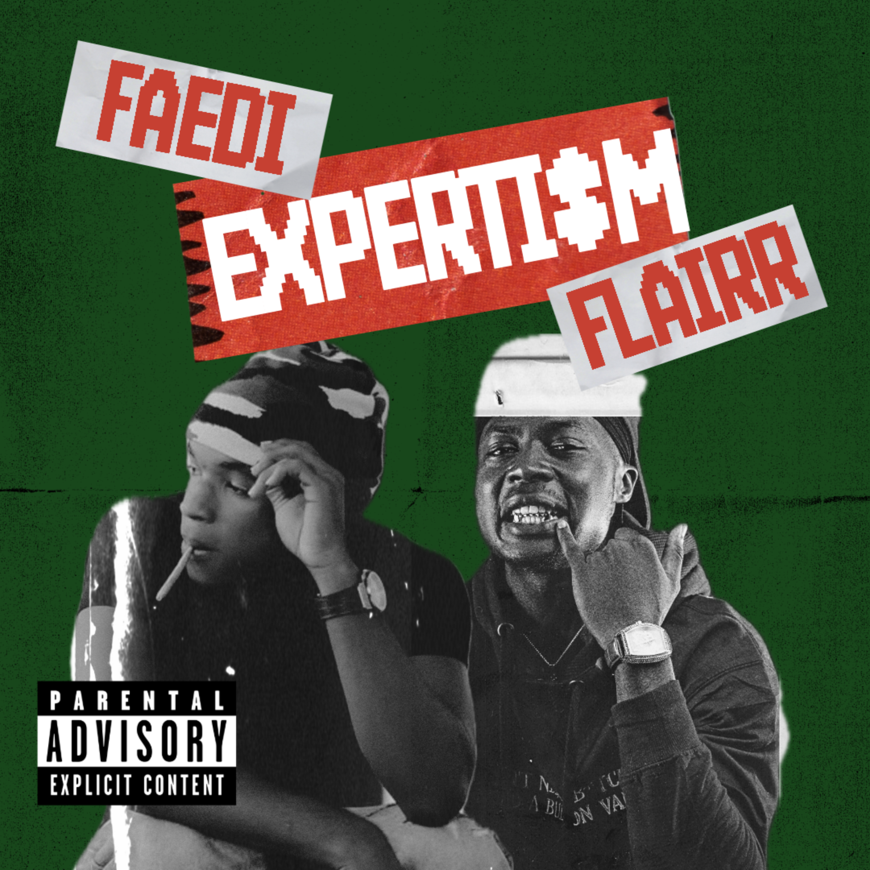 EXPERTISM artwork