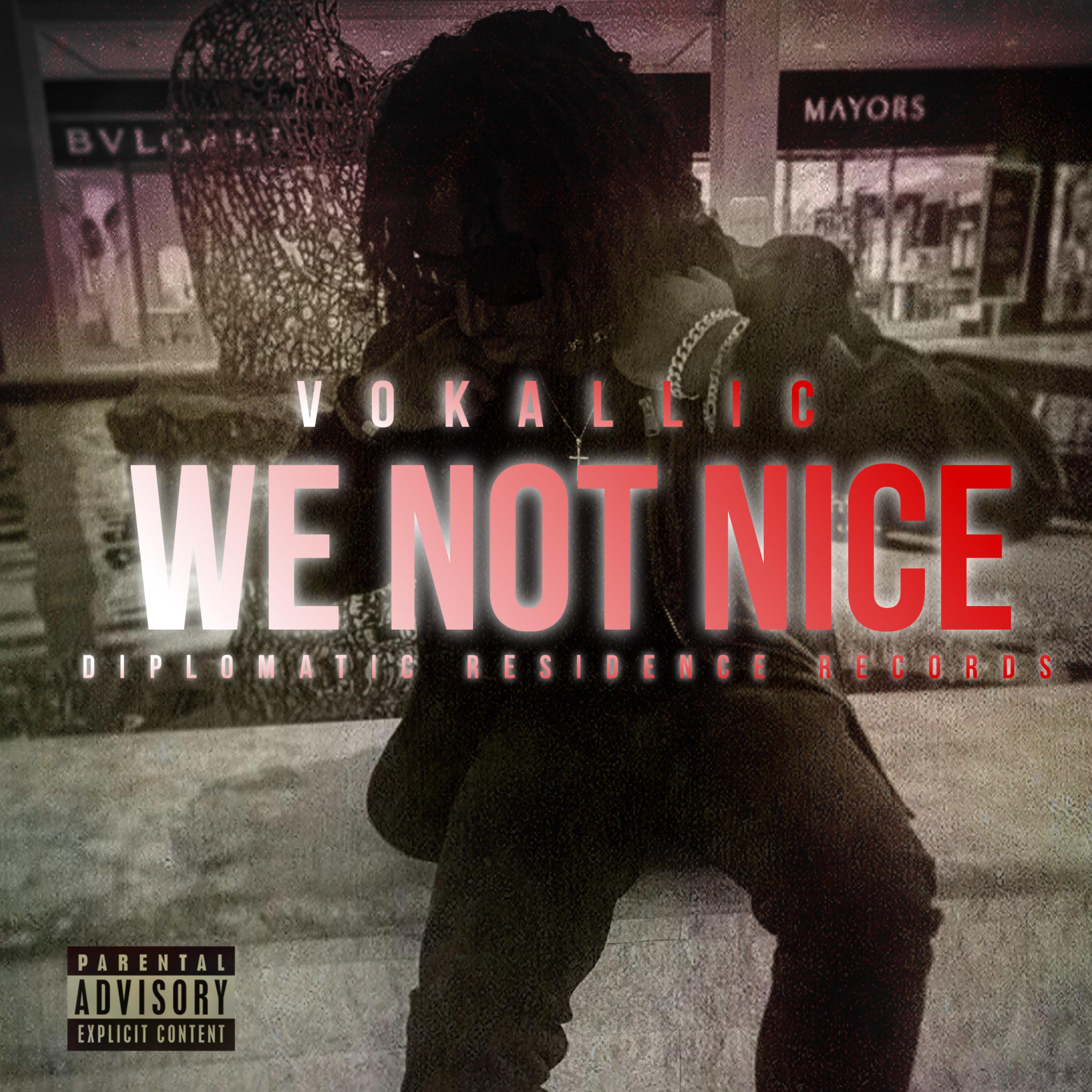 We Not Nice (Solo Version) artwork