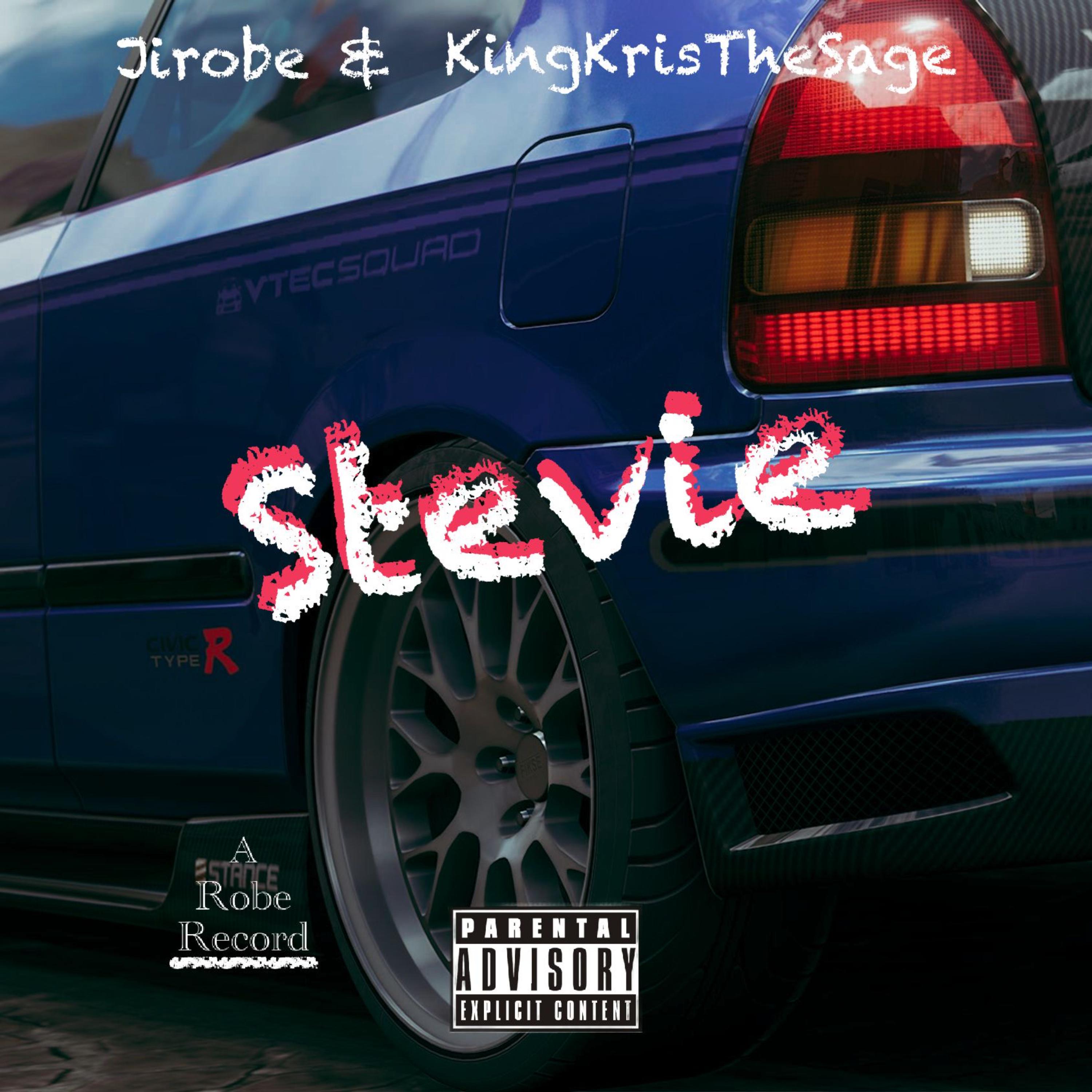 Stevie artwork