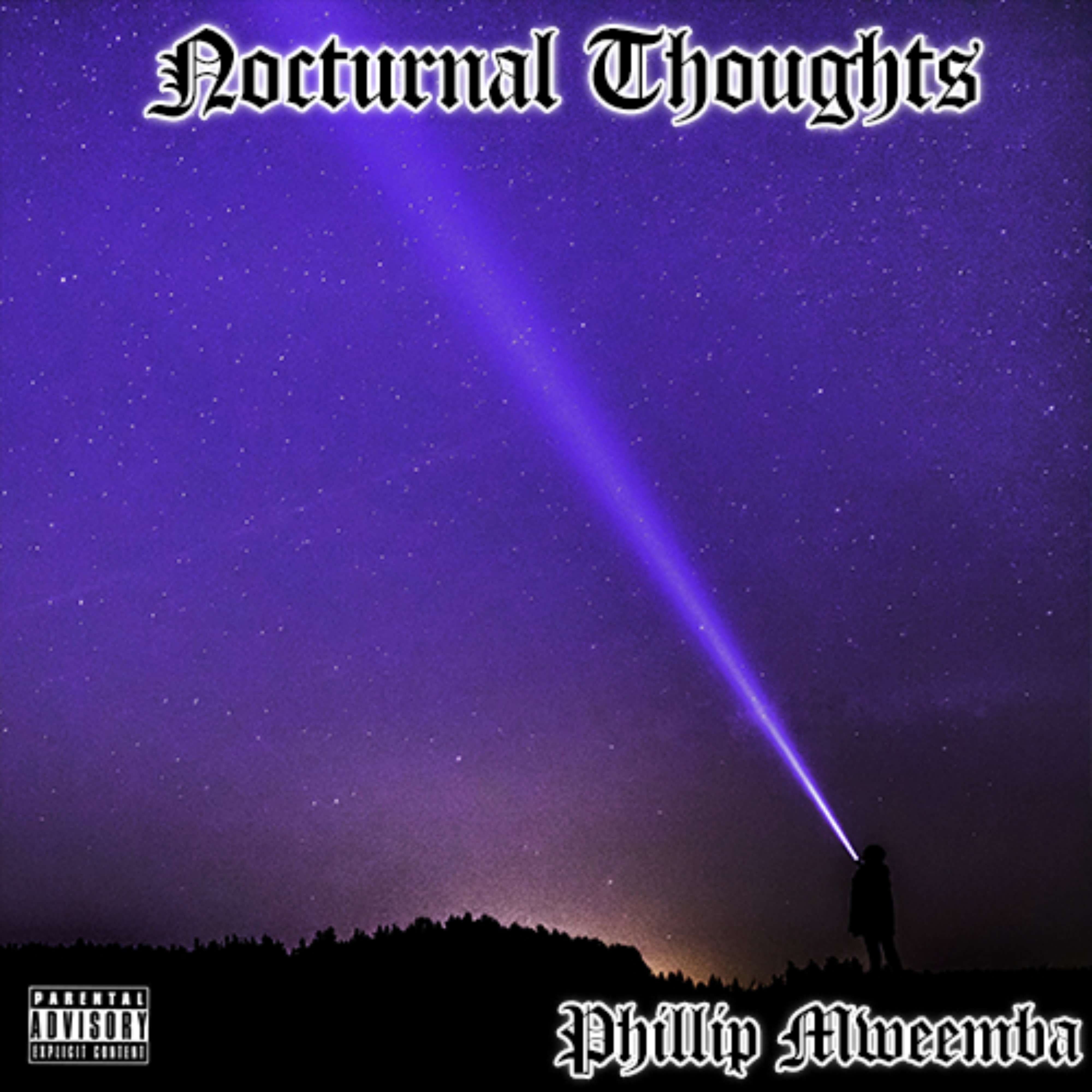 Nocturnal Thoughts artwork