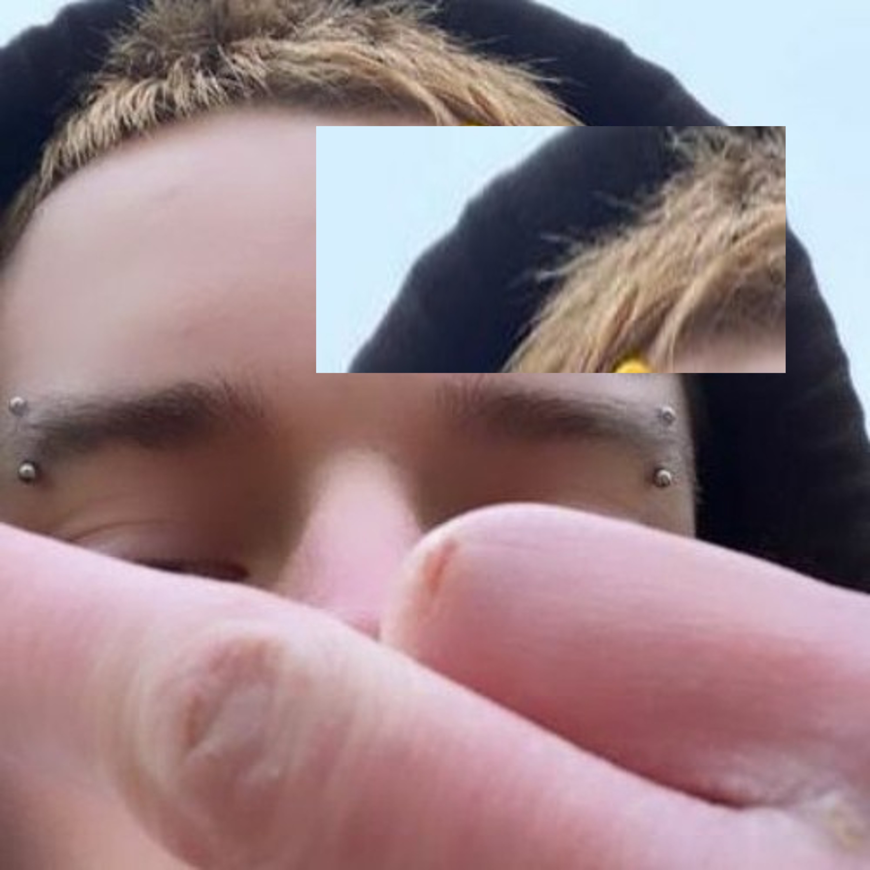 countin frank artwork