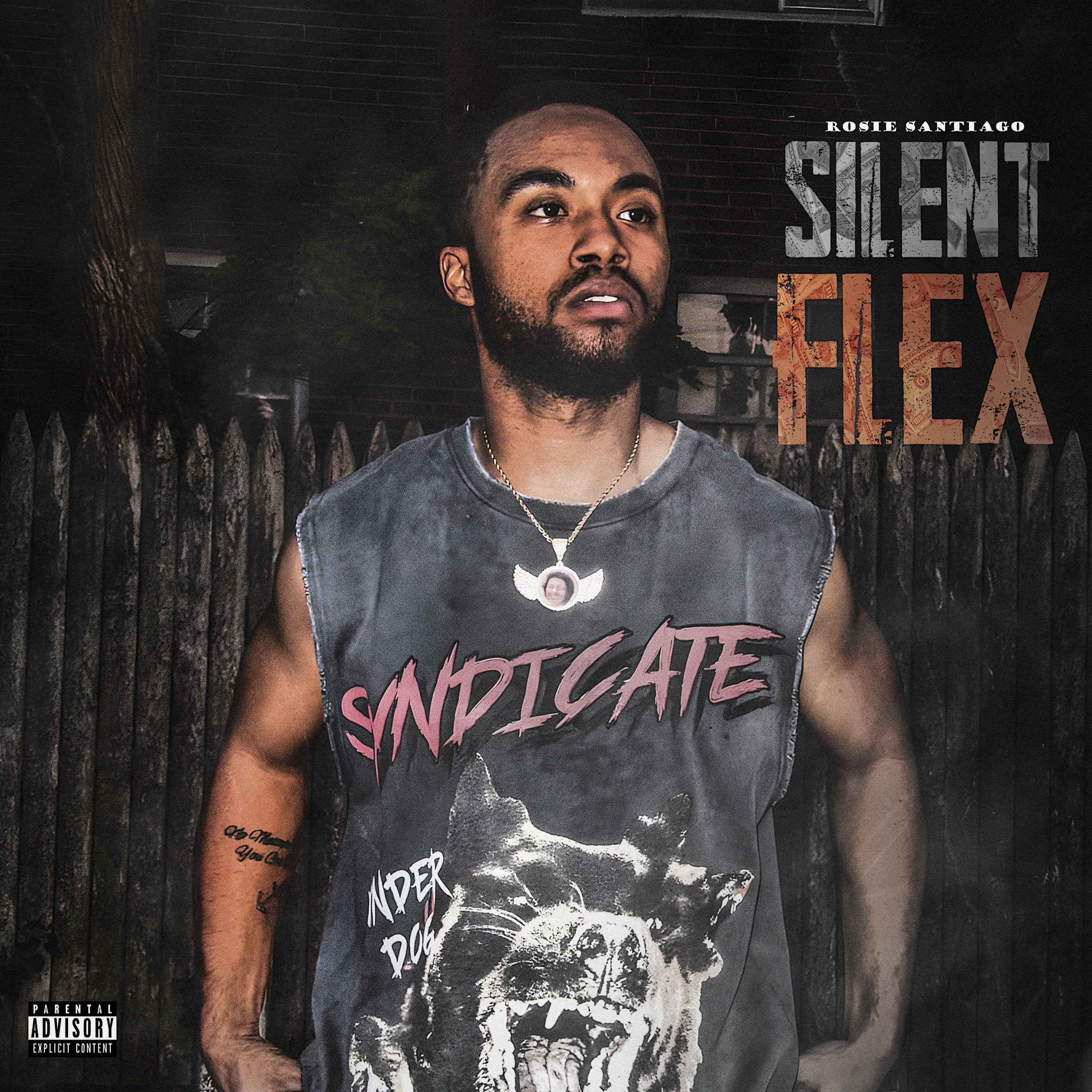Silent Flex artwork
