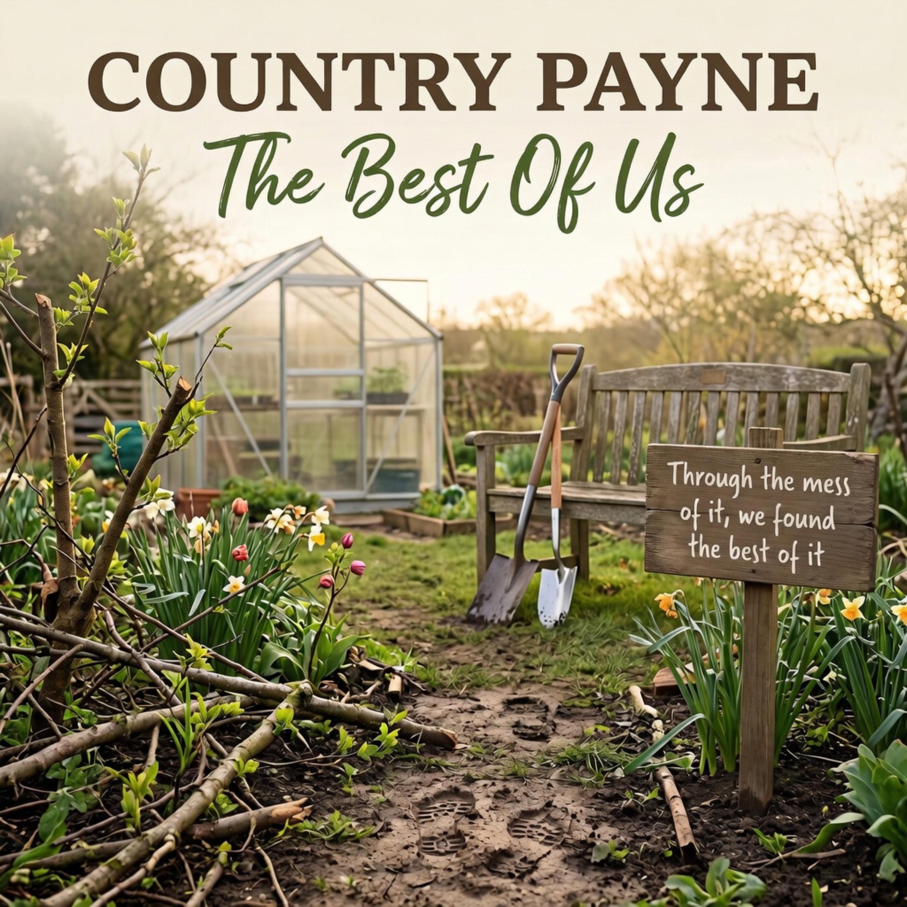 The Best Of Us artwork