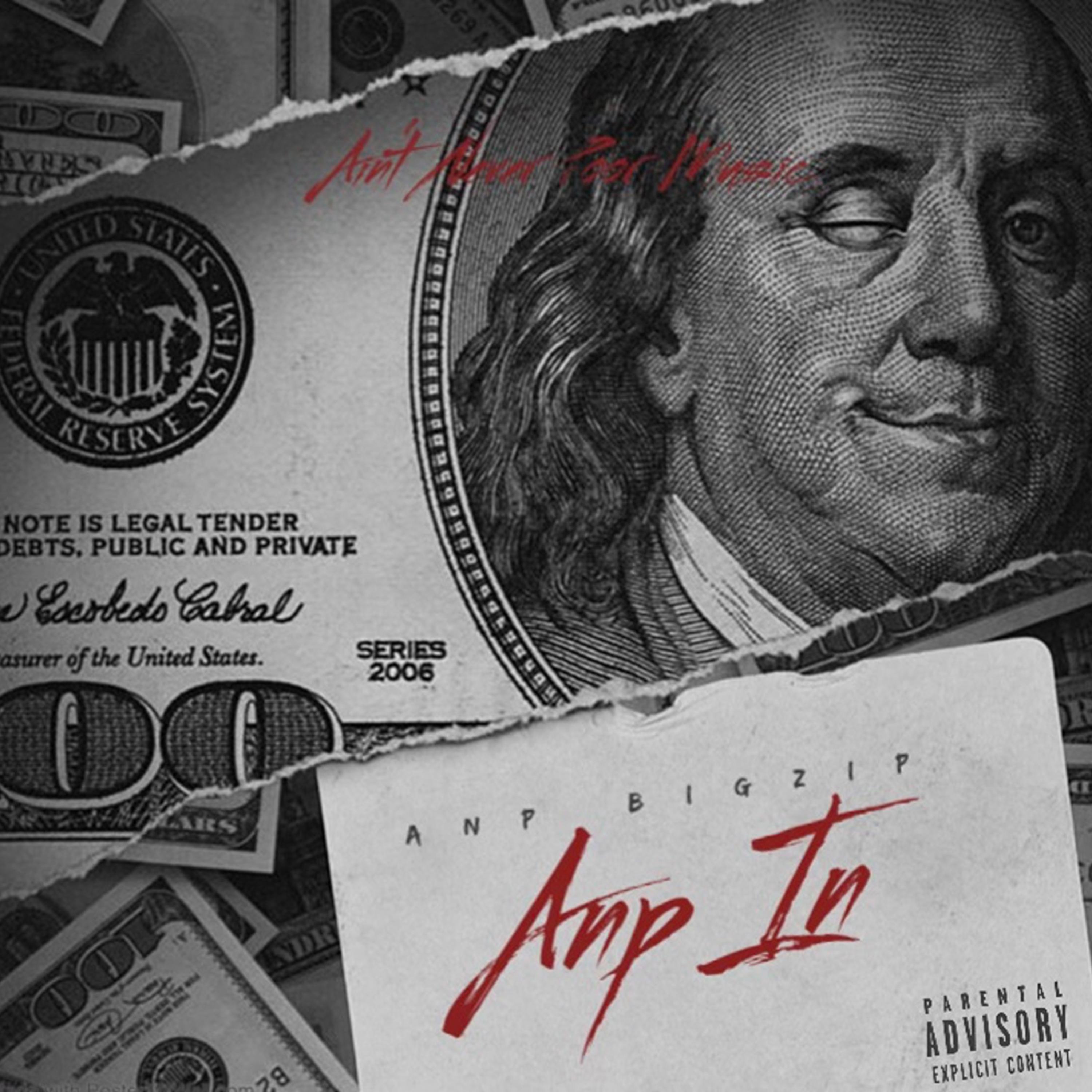ANP In by ANP BigZip cover art