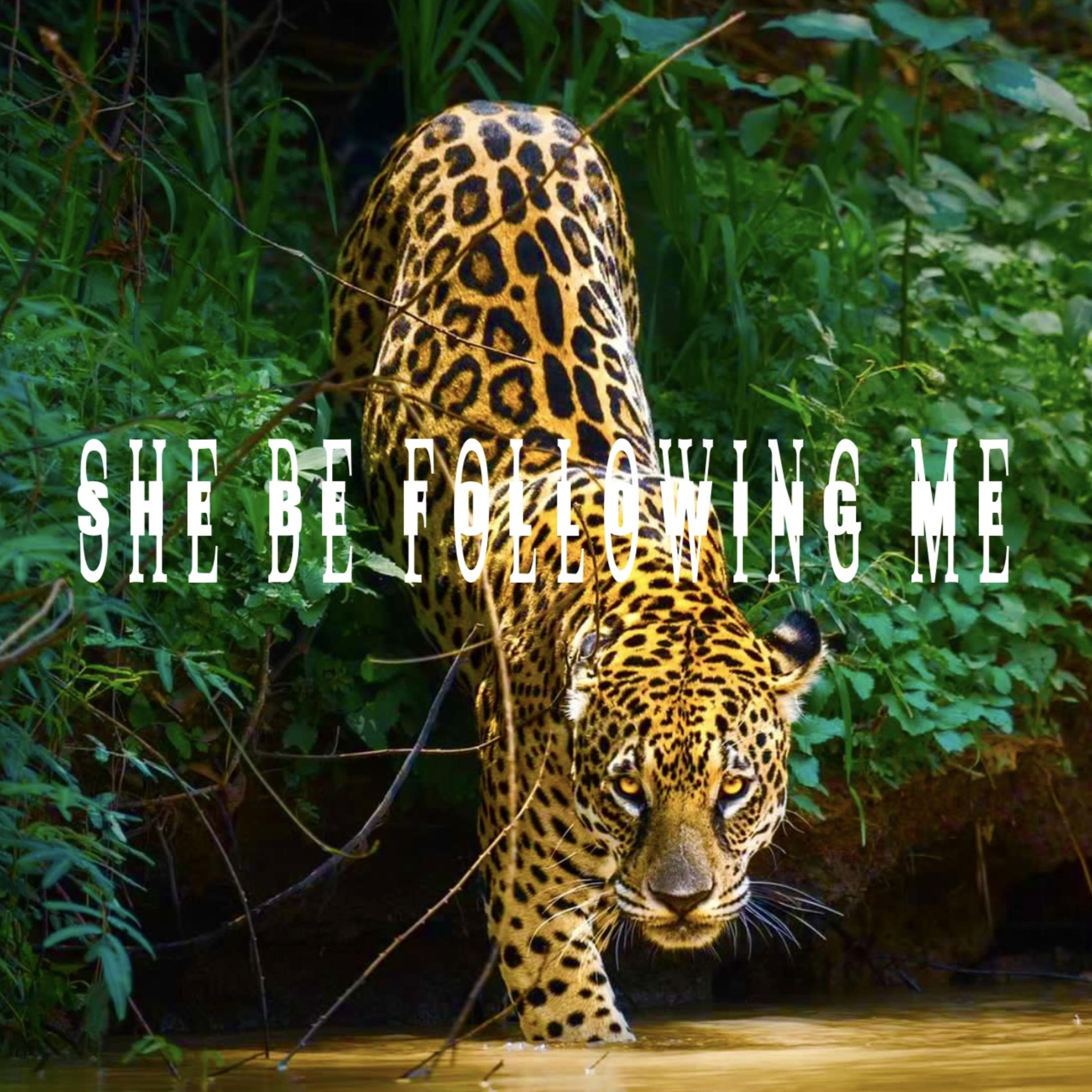 SHE BE FOLLOWING ME artwork
