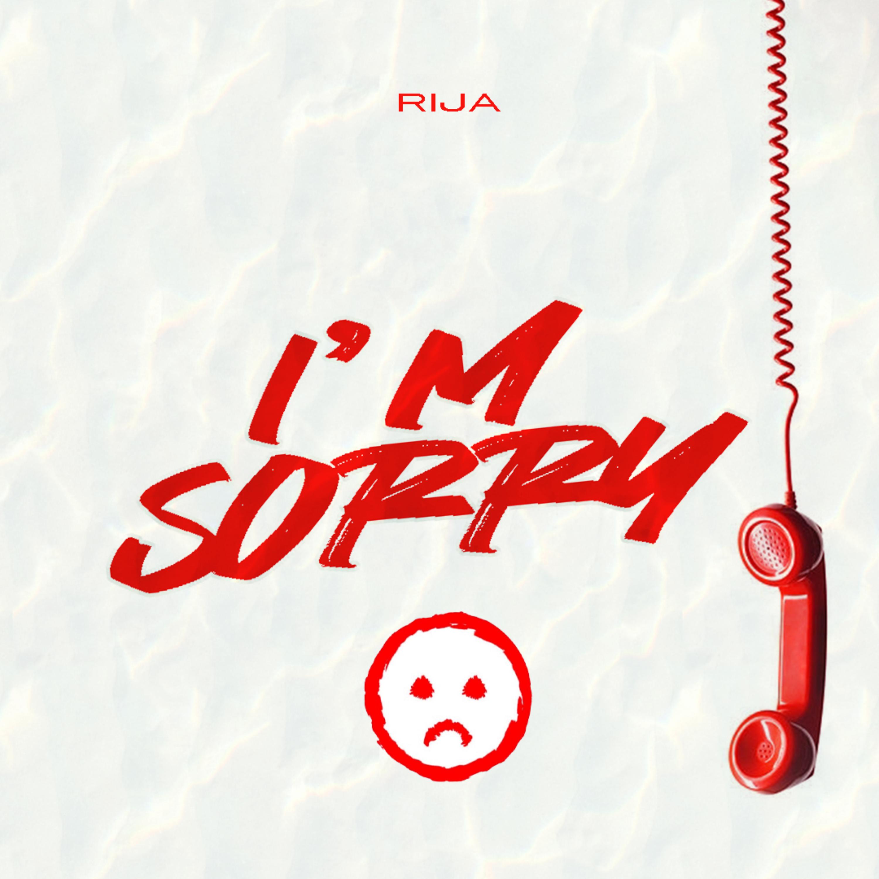 I'm Sorry artwork