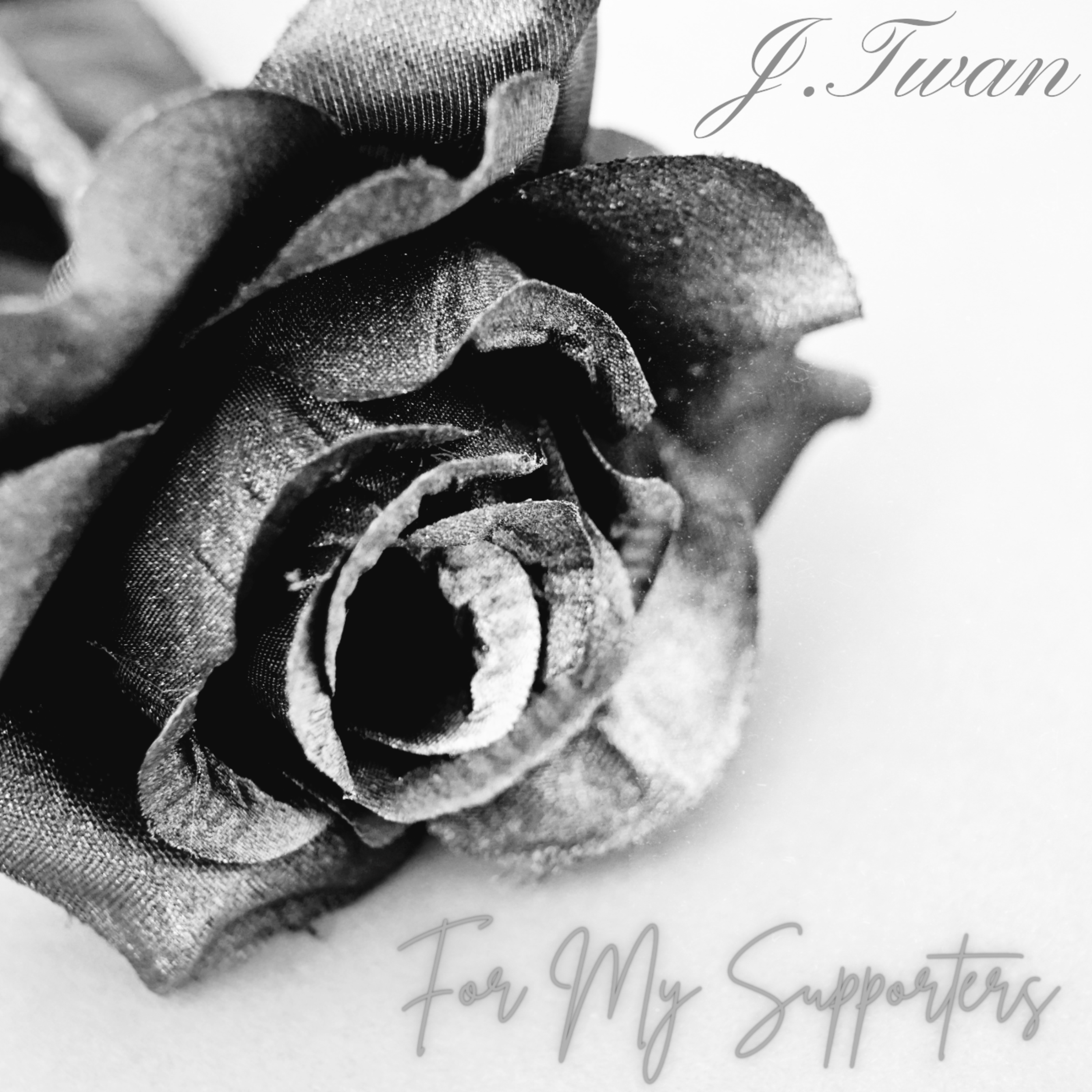 For My Supporters artwork