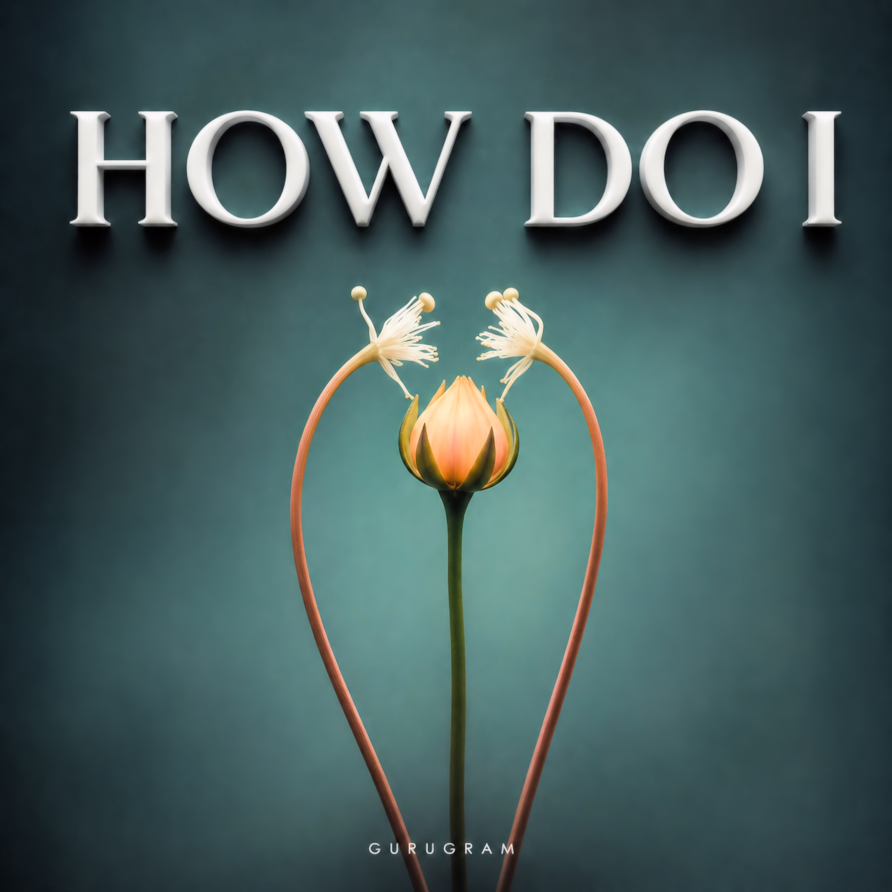 HOW DO I artwork