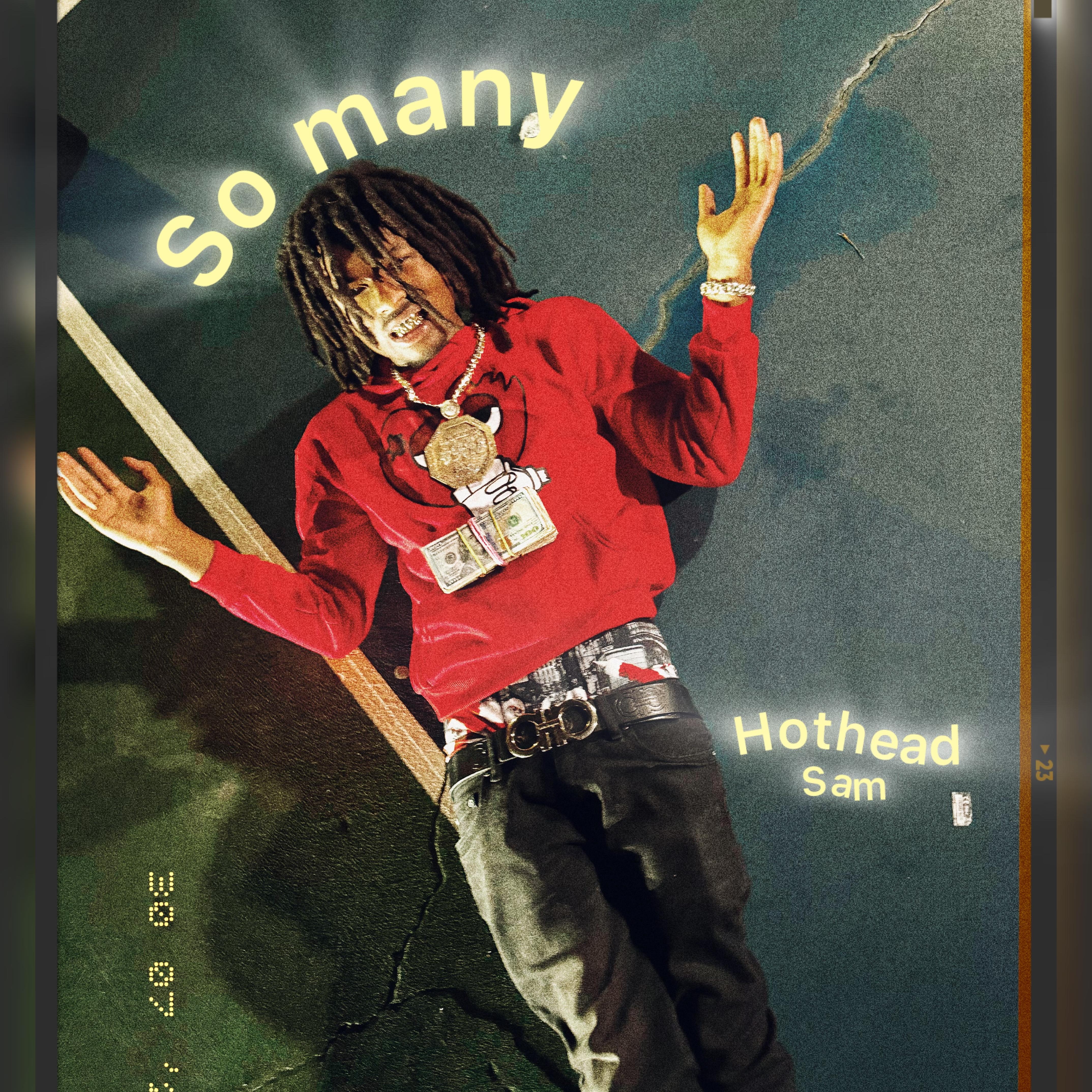 So Many artwork