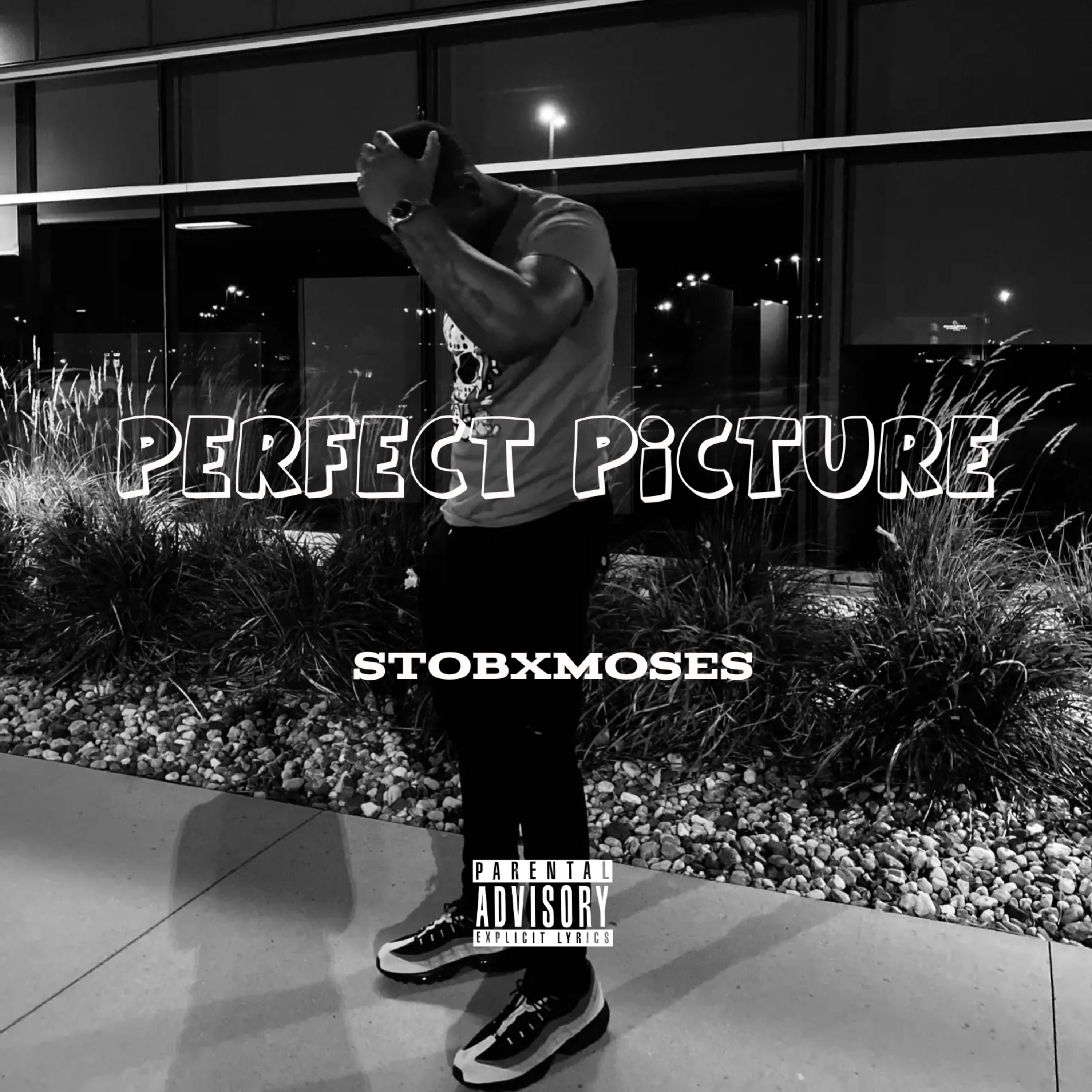 Perfect Picture artwork