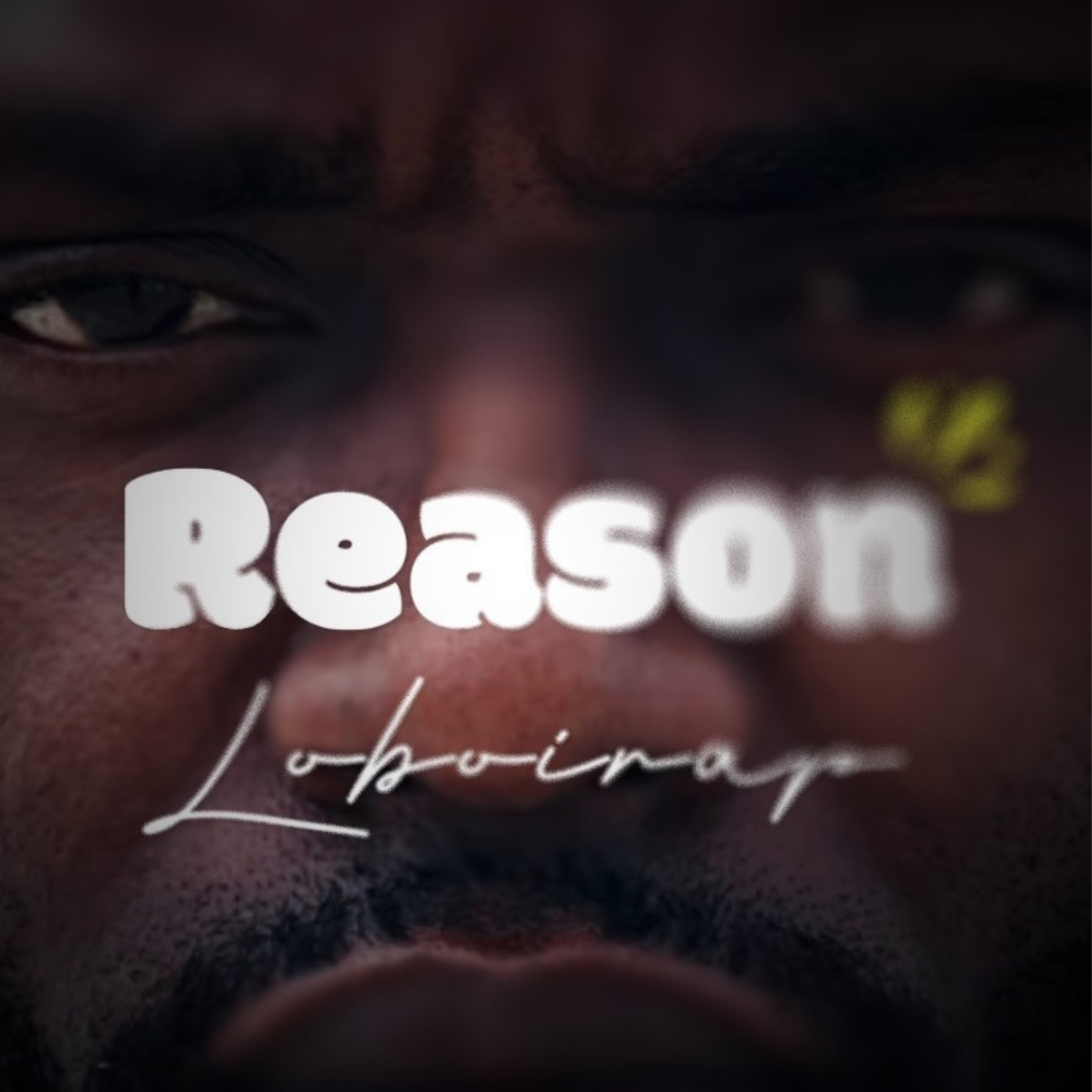 Reason artwork