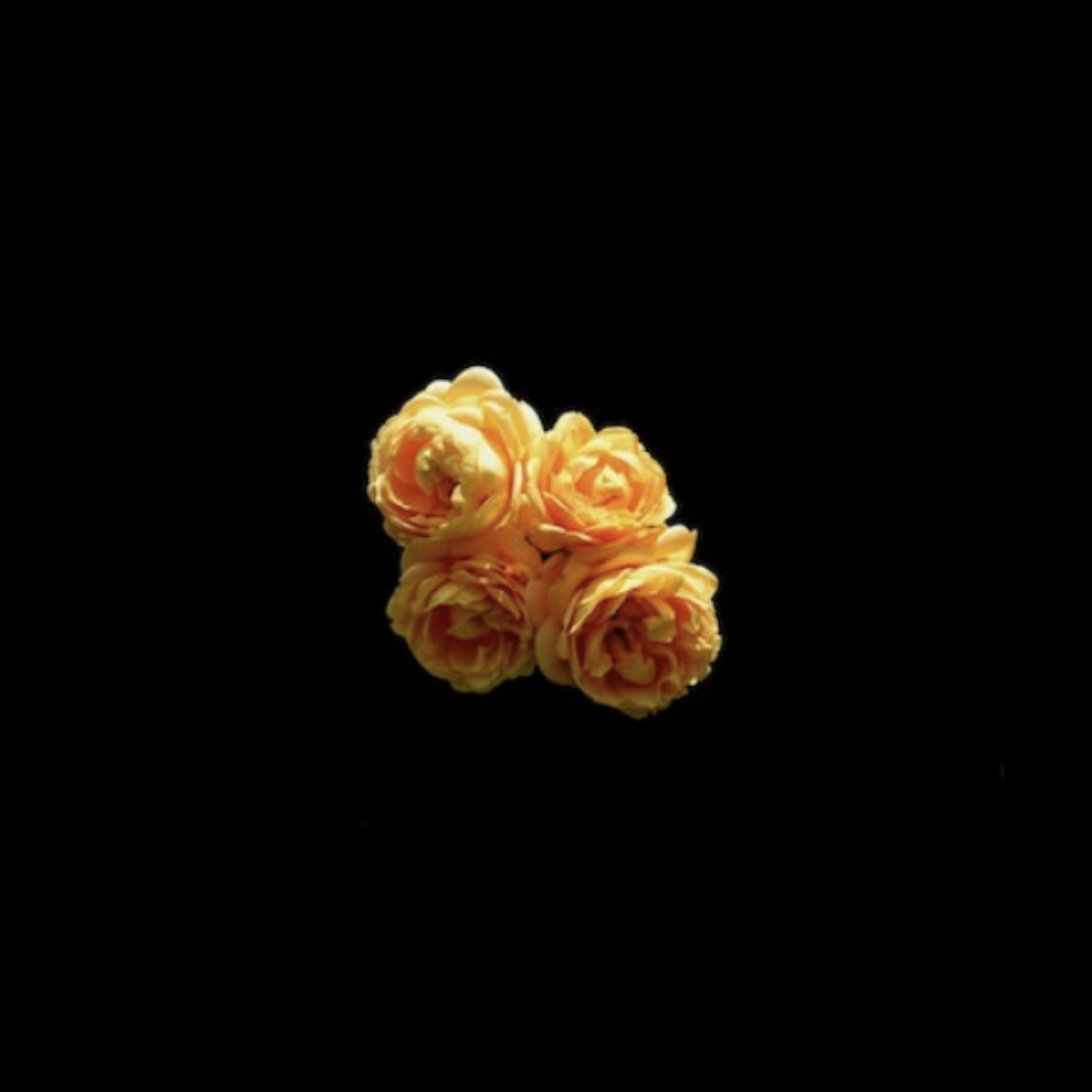 Beyond Me artwork