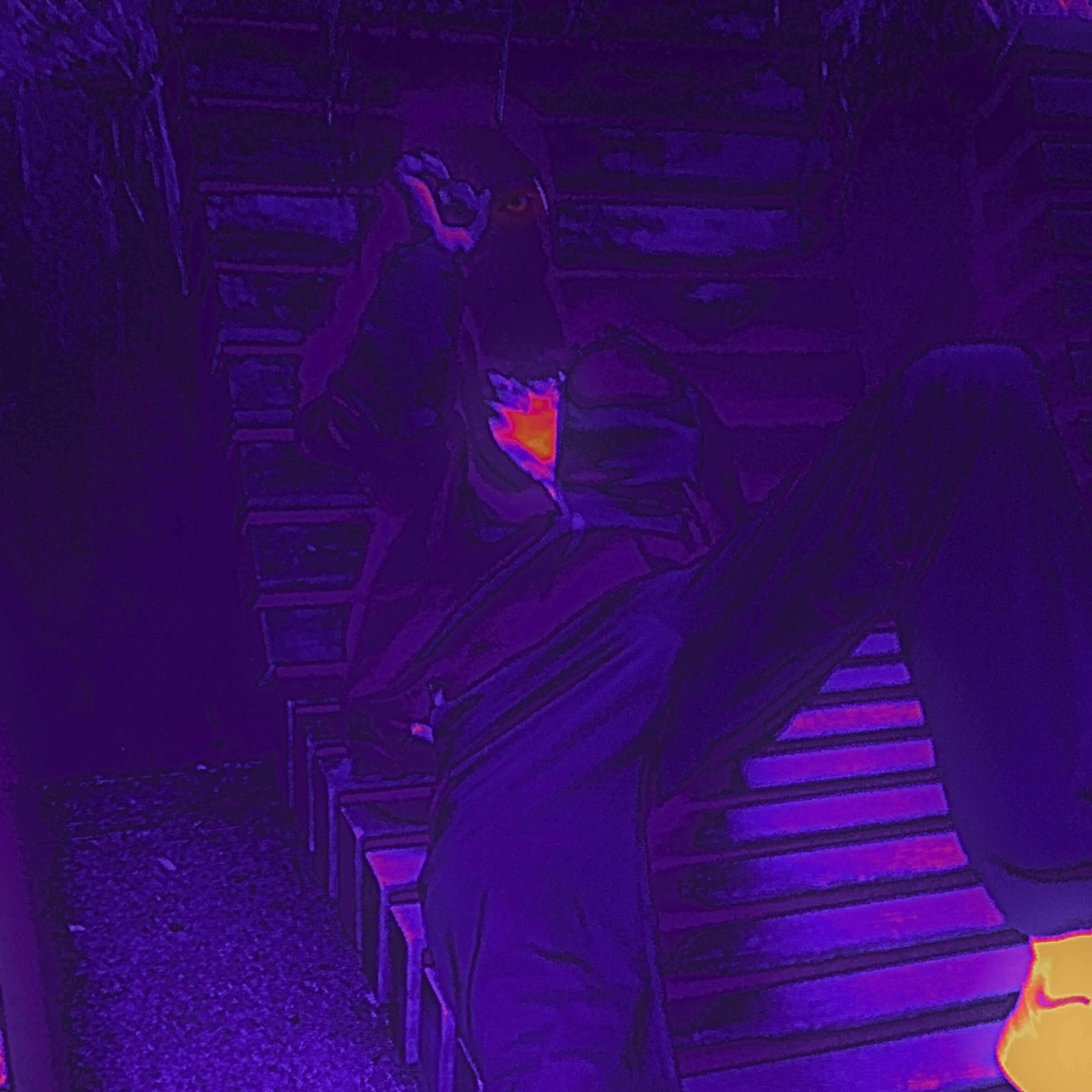This Months Confessions artwork