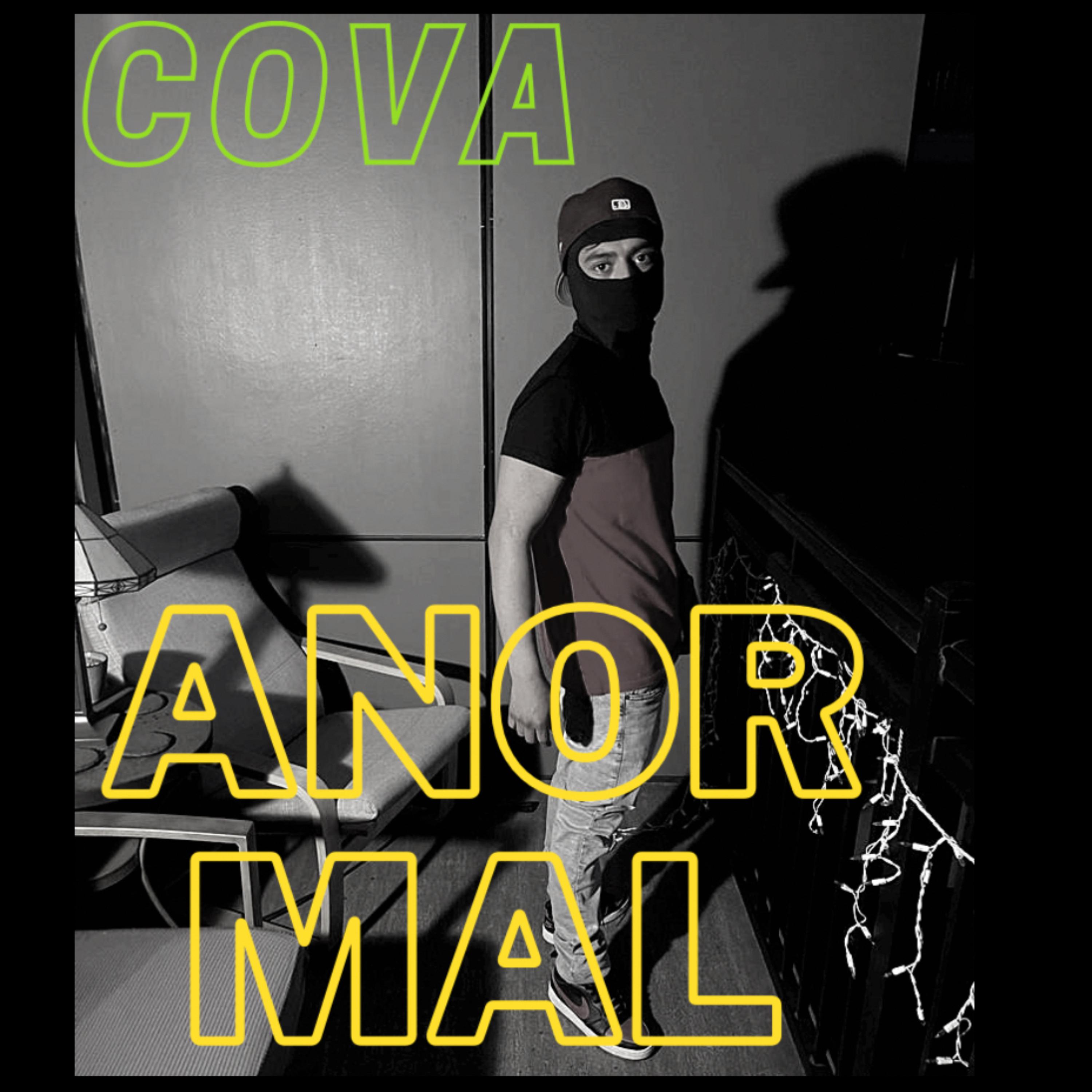 Anormal artwork