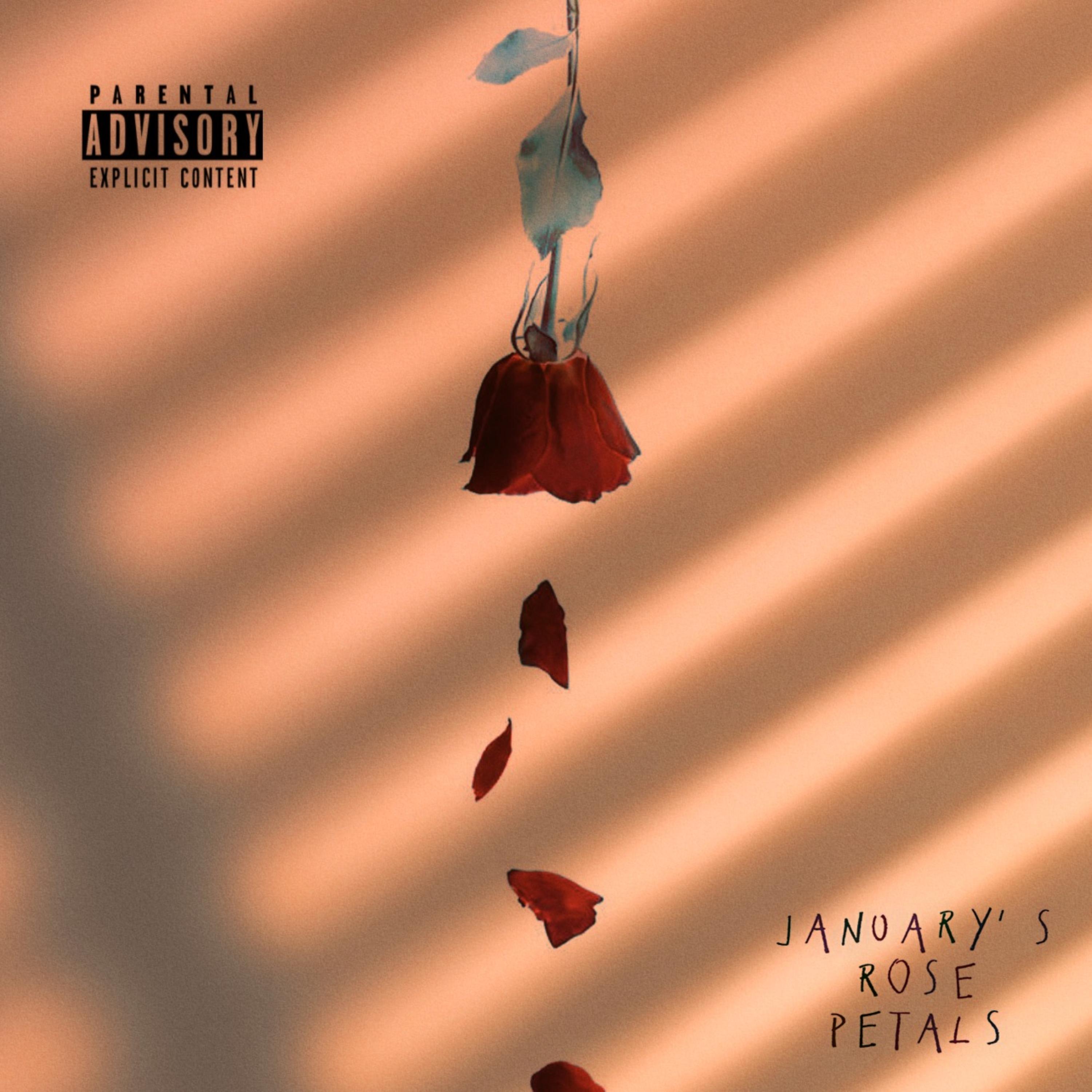 JANUARY’S ROSE PETALS artwork