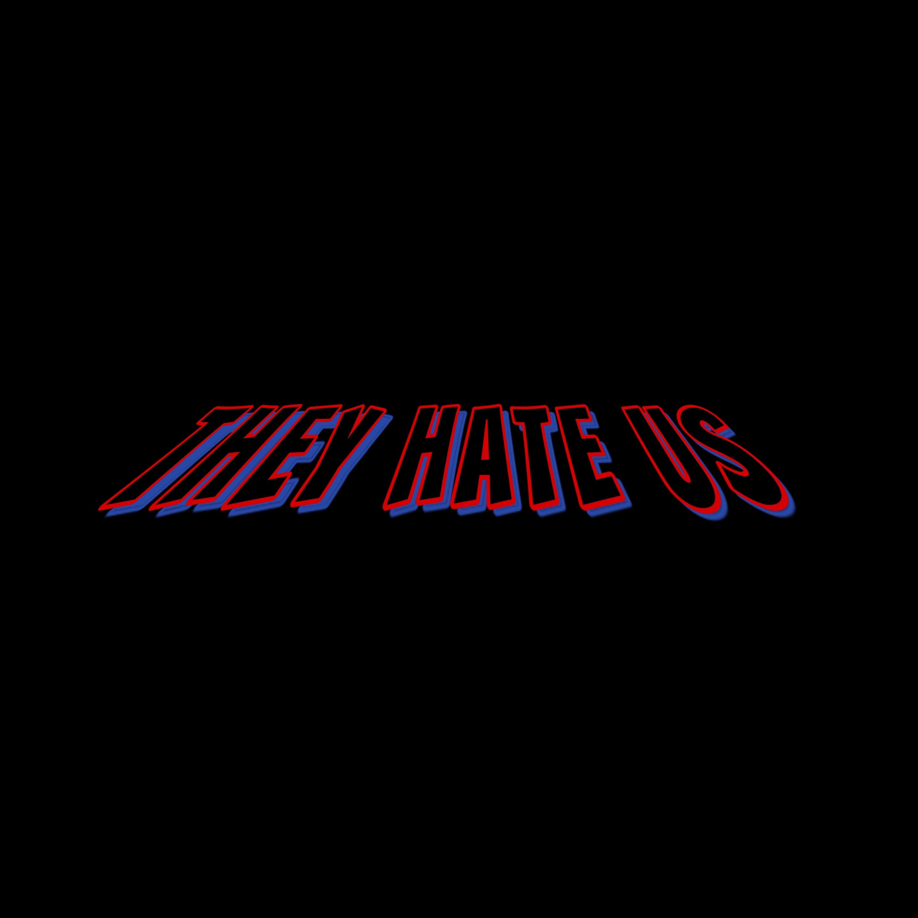 They Hate Us artwork