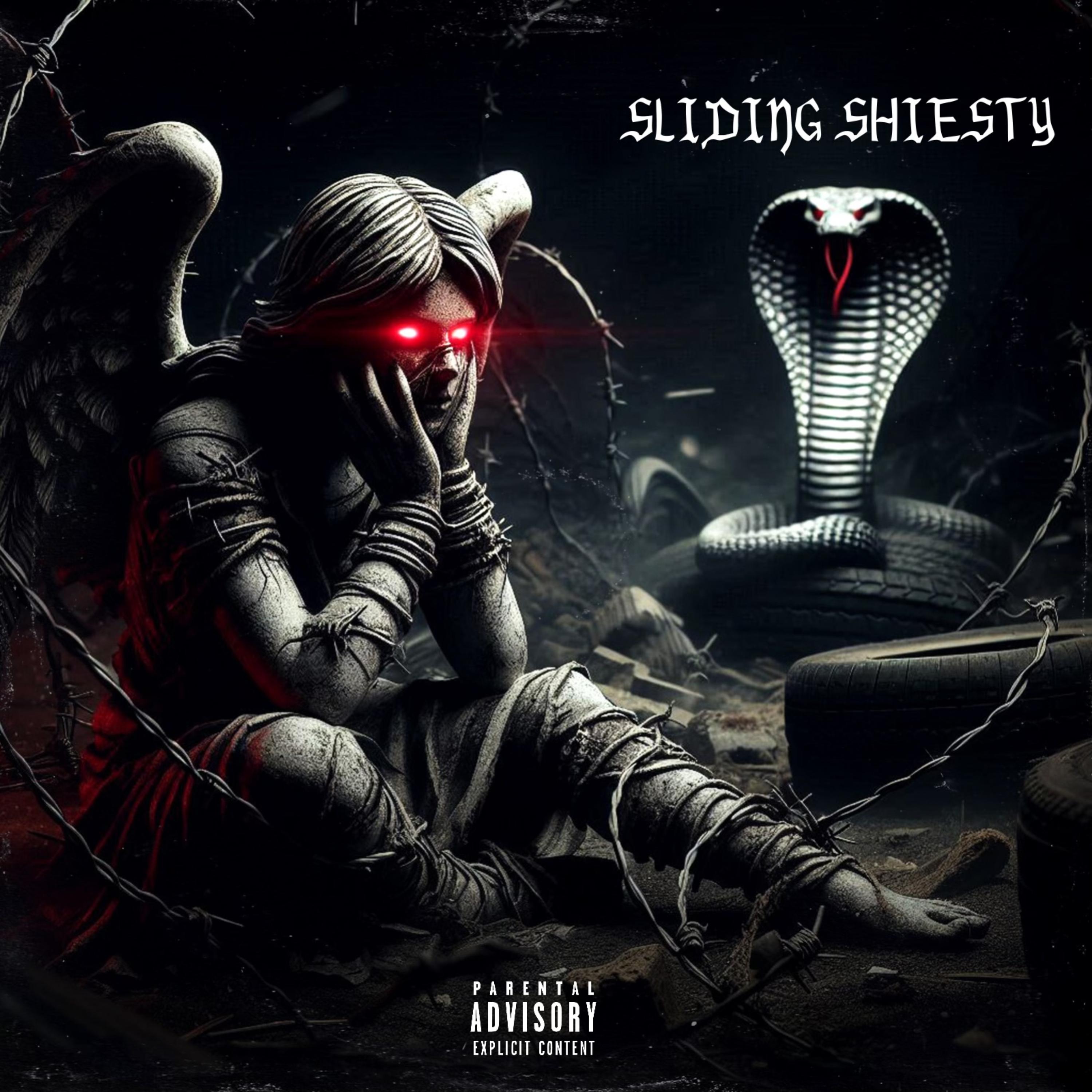 Sliding Shiesty artwork