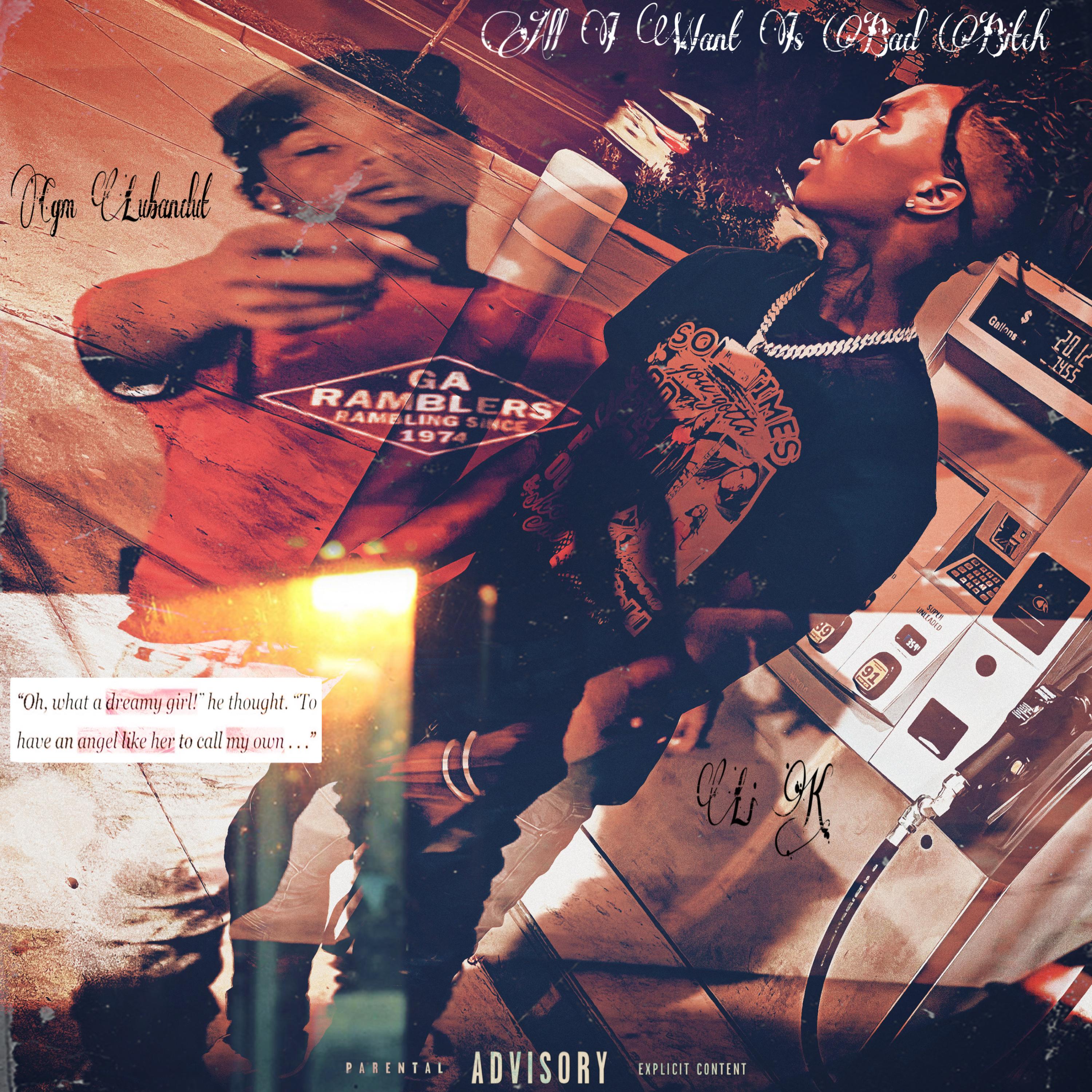 All I Want Is A Bad Bitch artwork