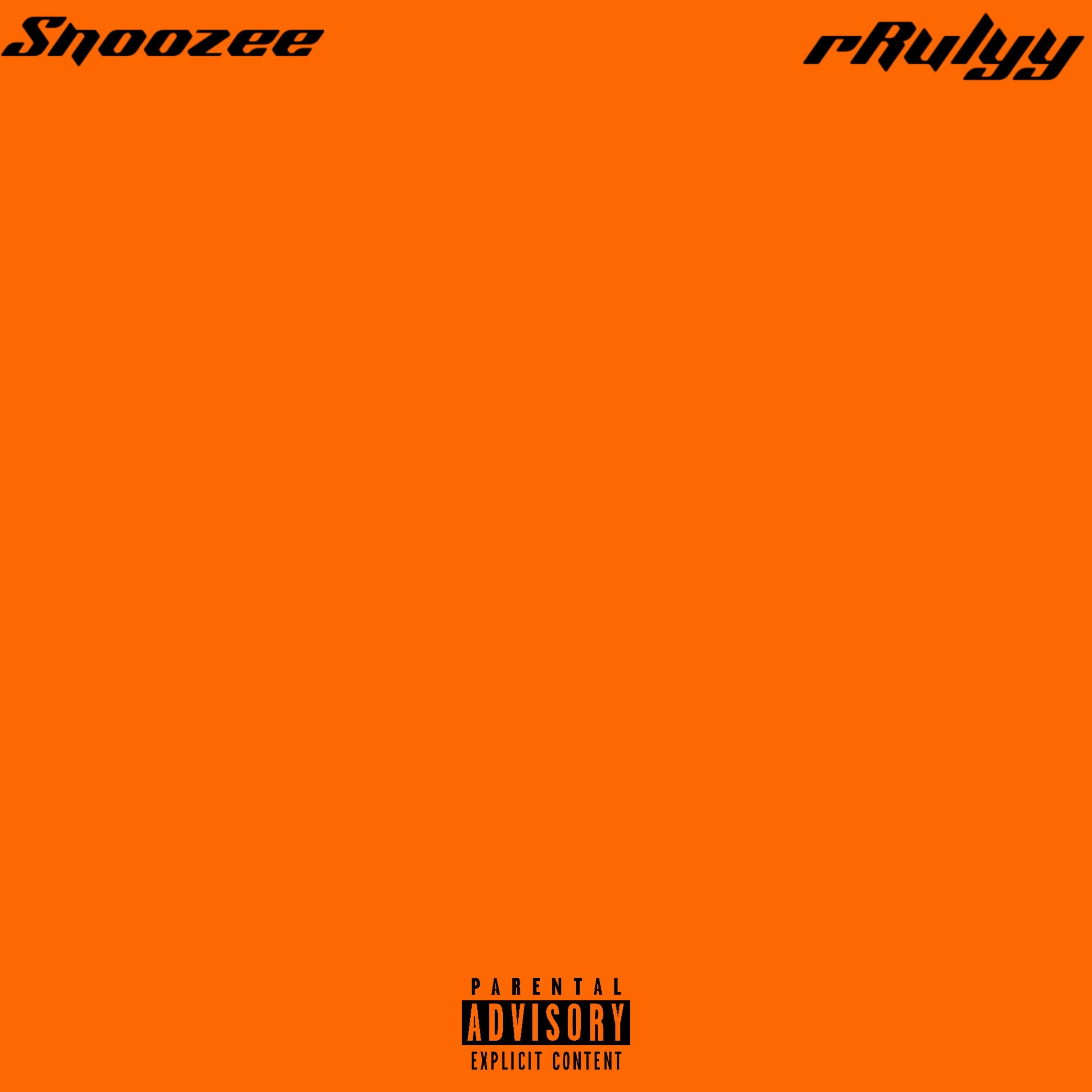 Snoozee artwork