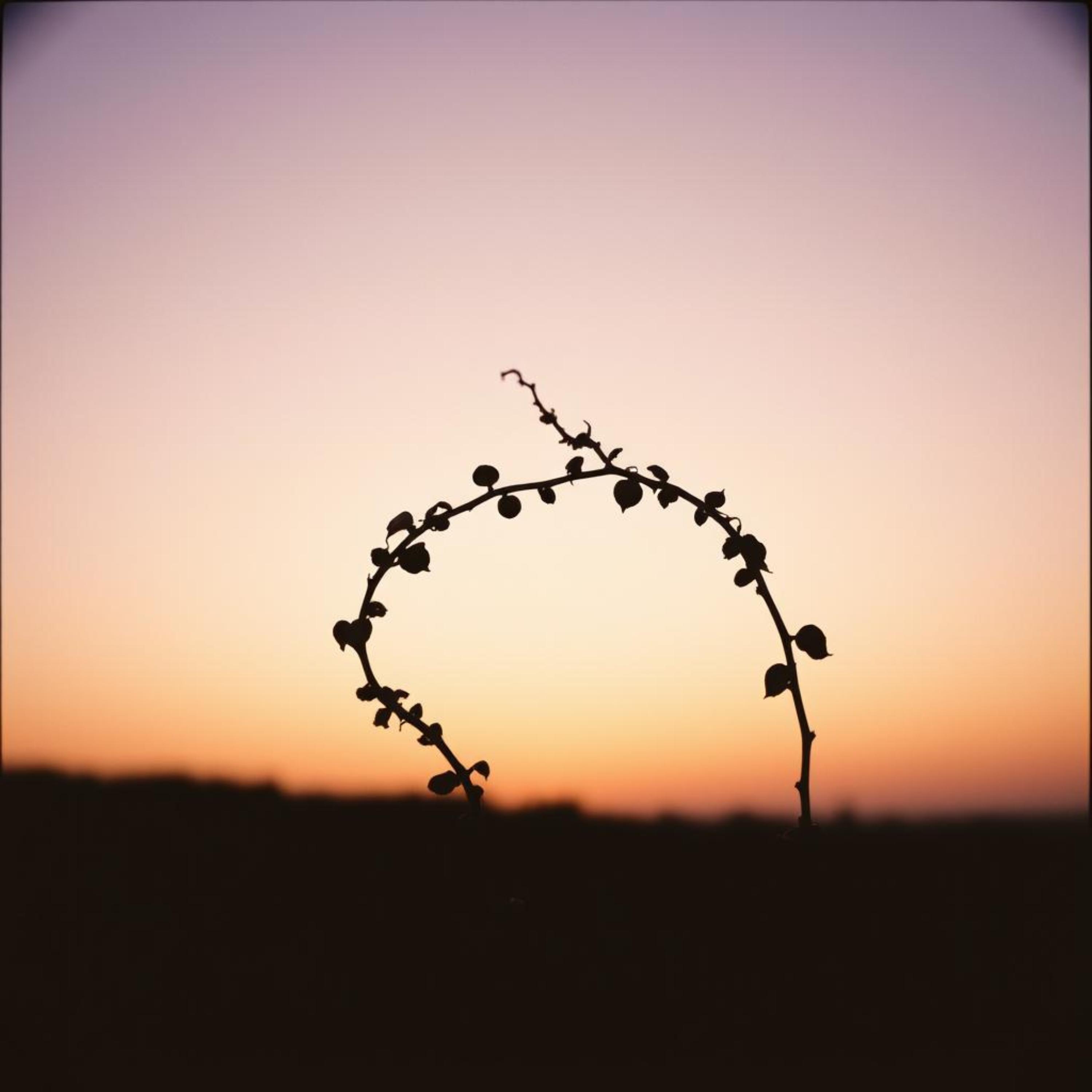 느린 걸음 artwork