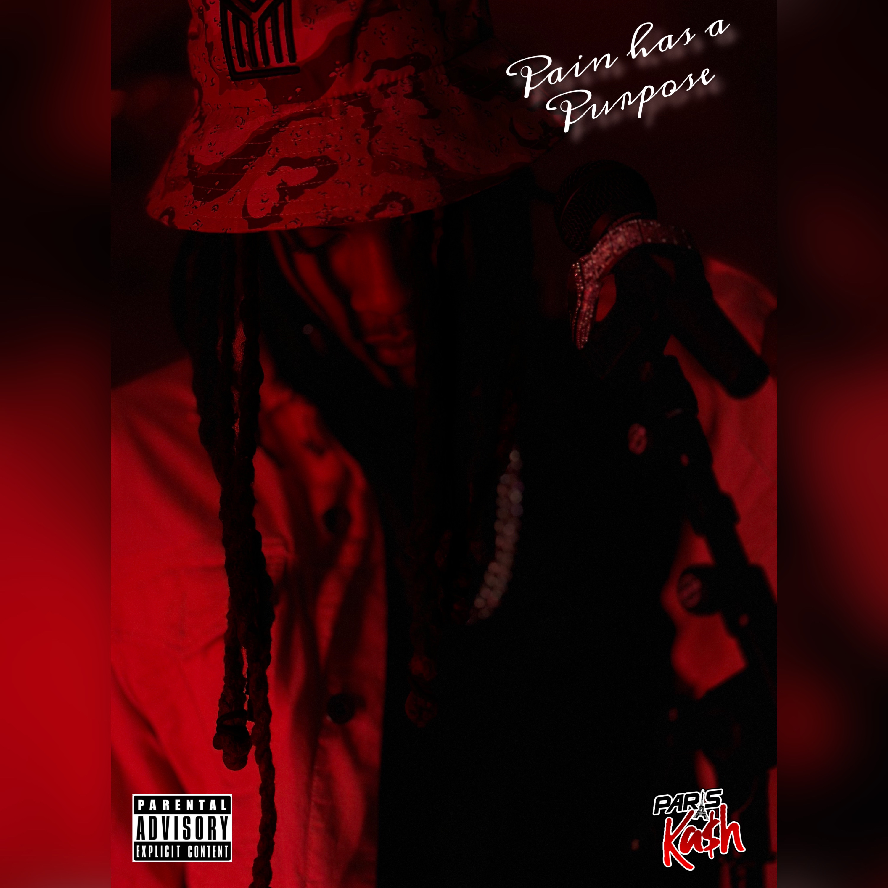 Pain Has A Purpose by Paris Kash cover art