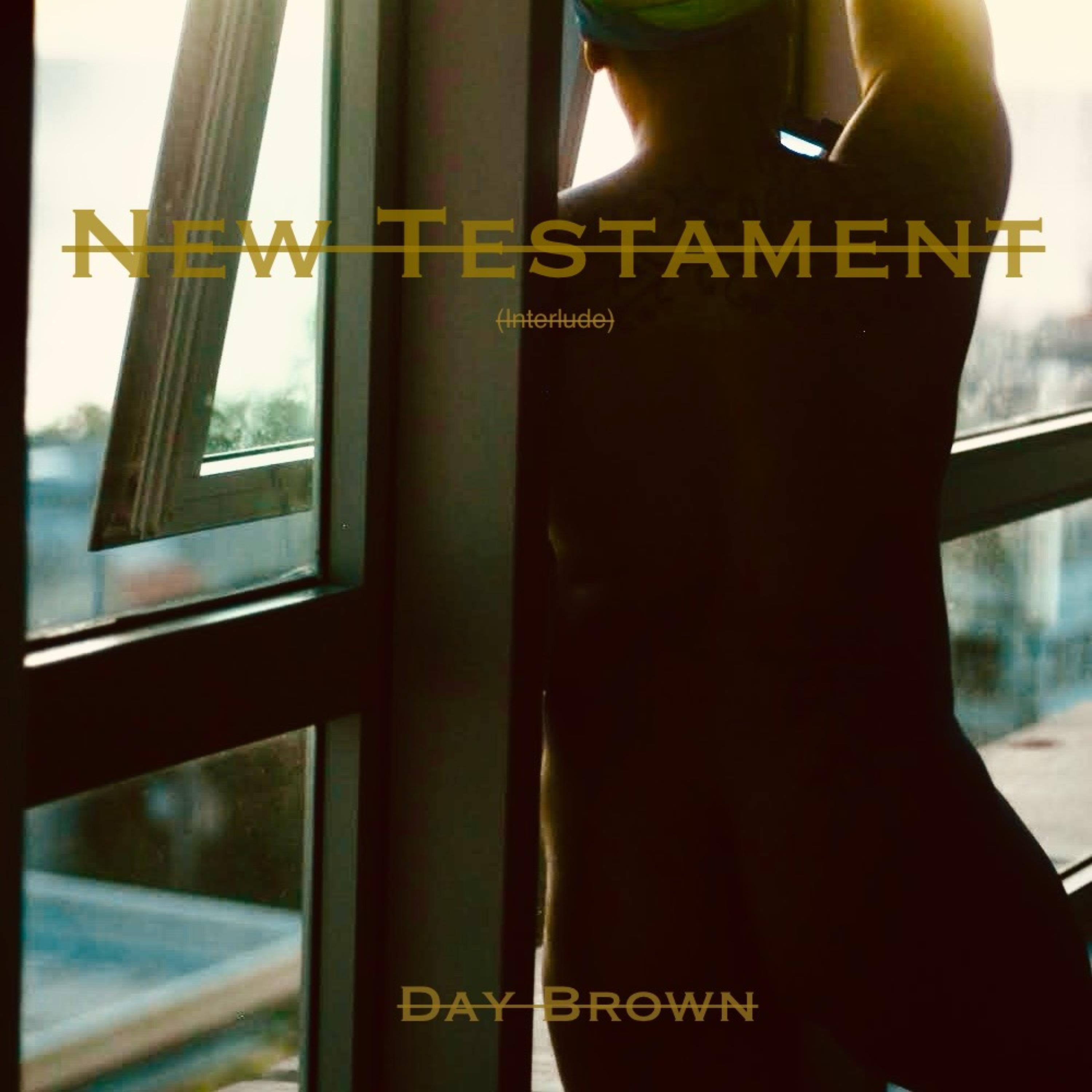 New Testament(interlude) artwork