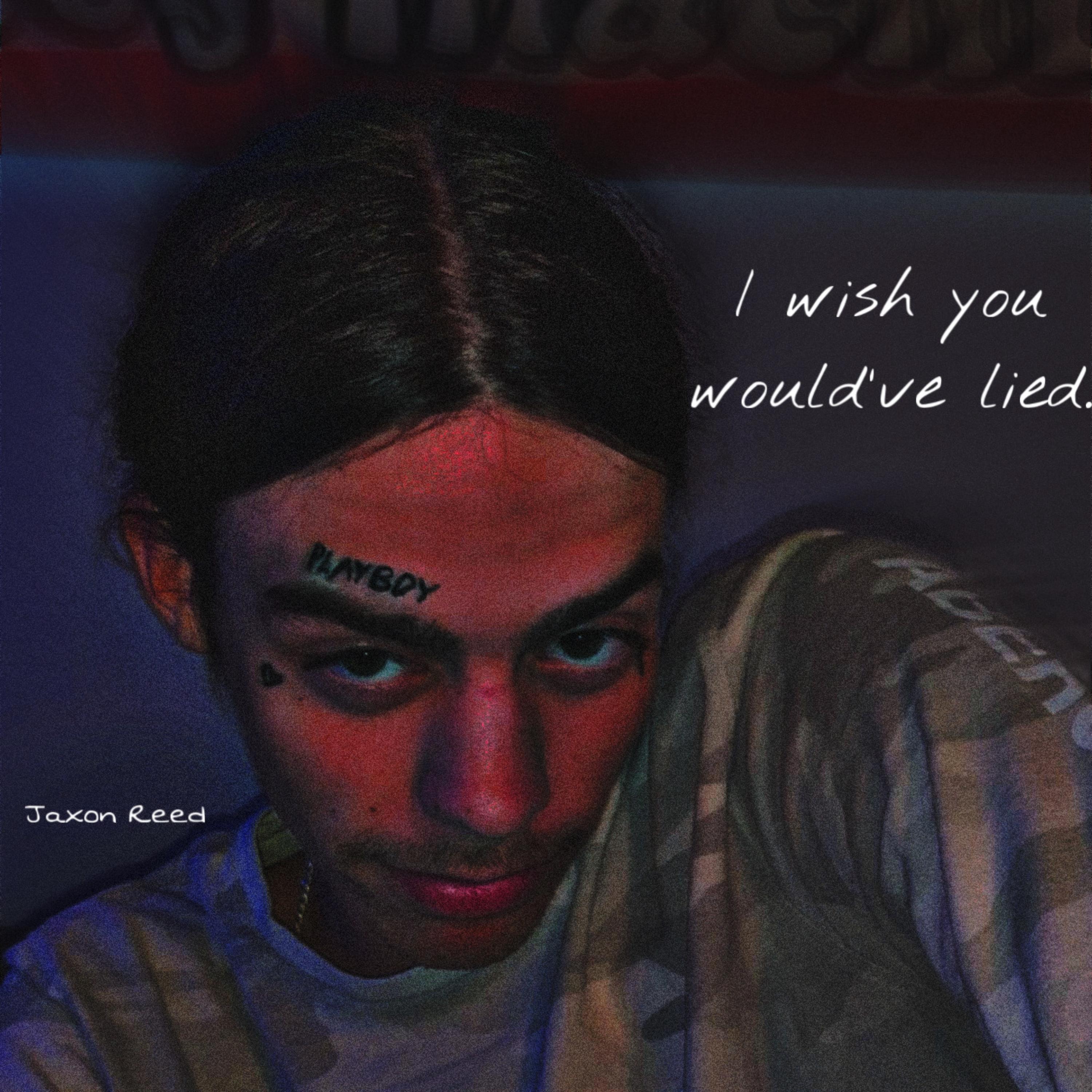 I Wish You Would’ve Lied artwork