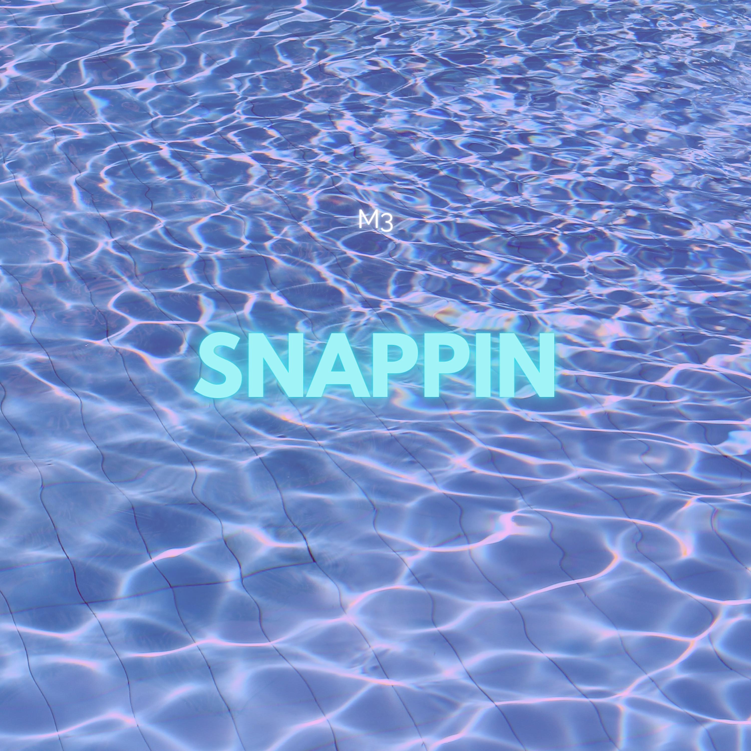 SNAPPIN artwork