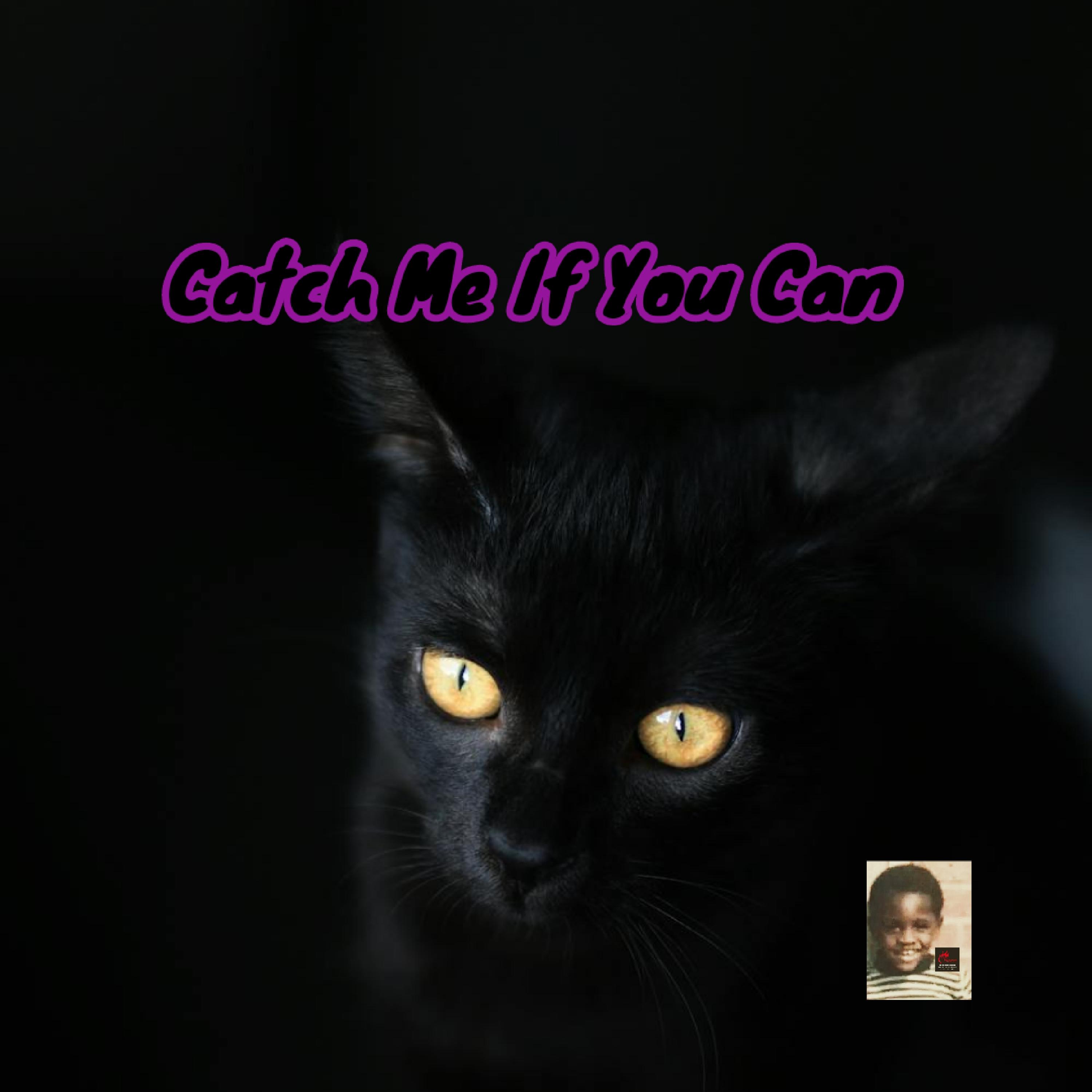 Catch Me If You Can artwork