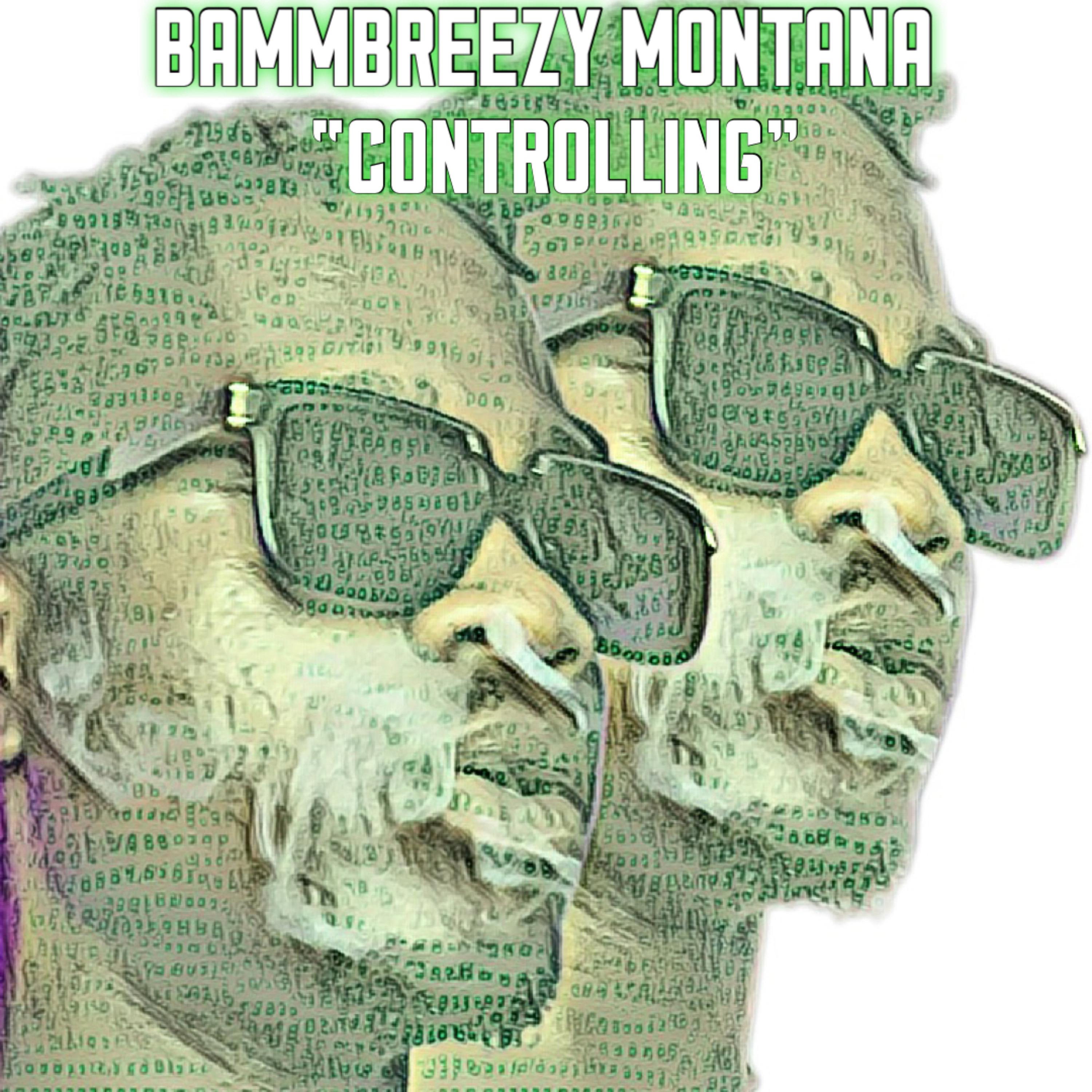 Controlling artwork