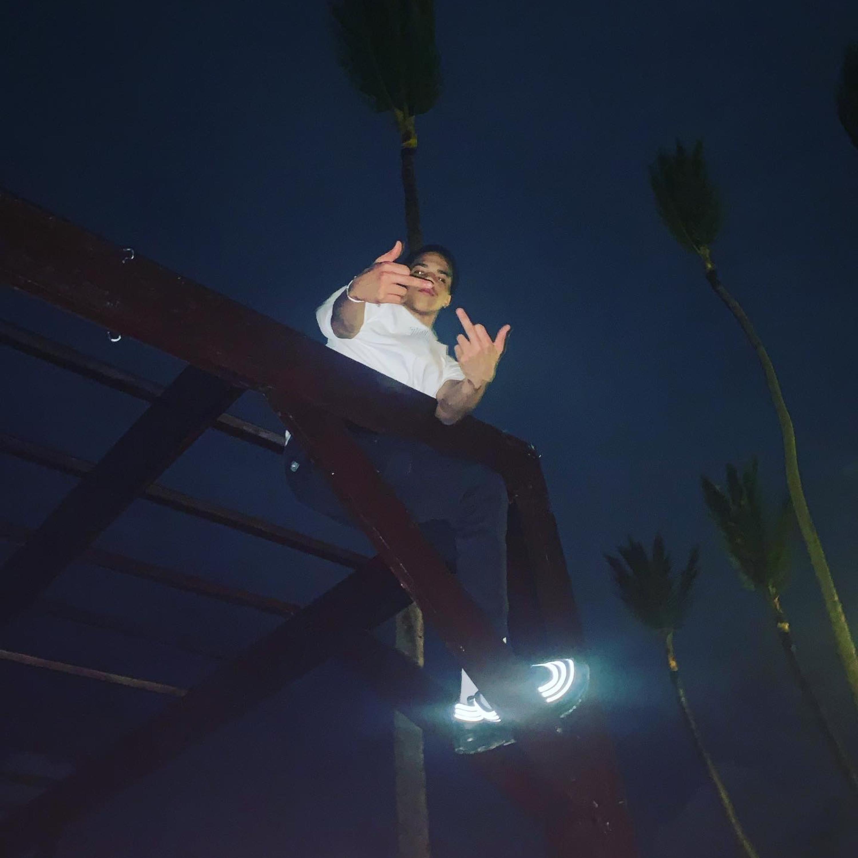 Who Needz Em artwork