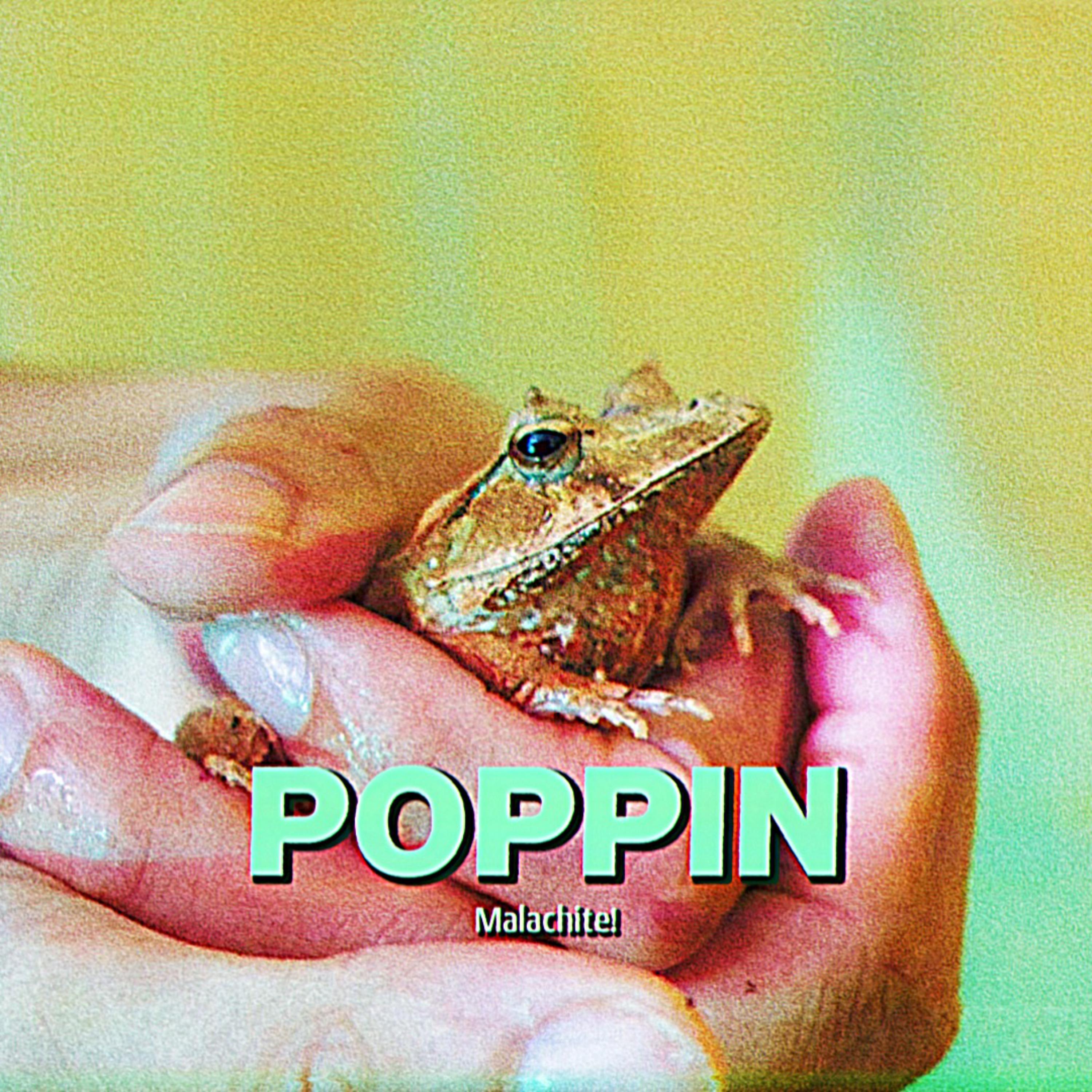 Poppin artwork