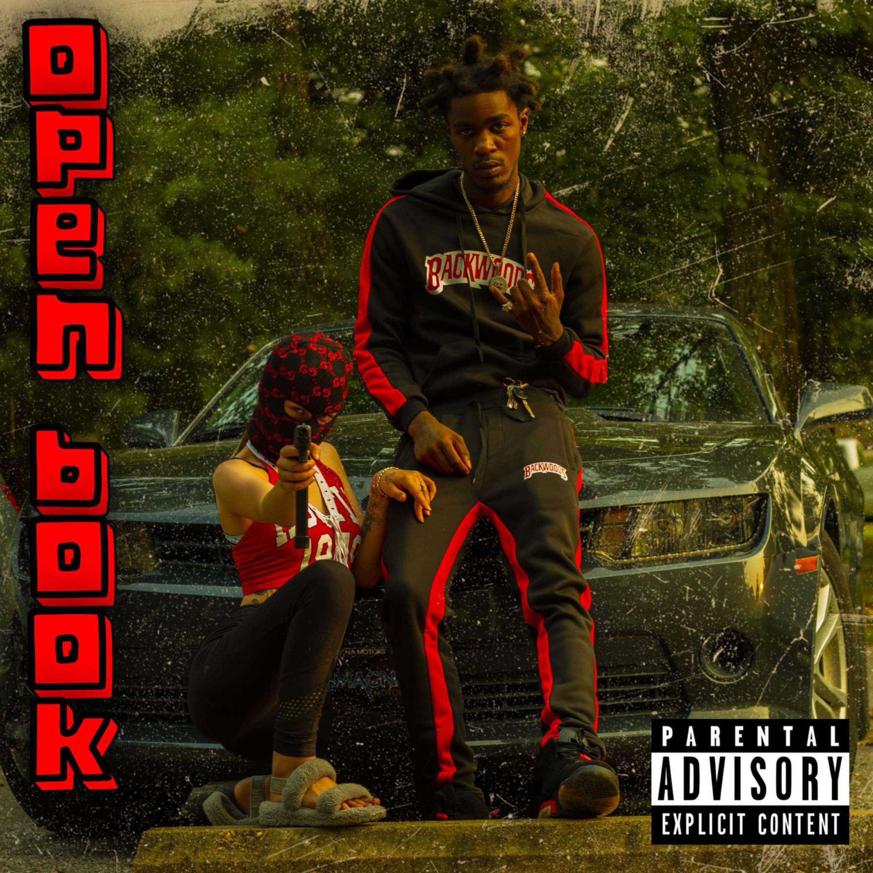 Open Book artwork