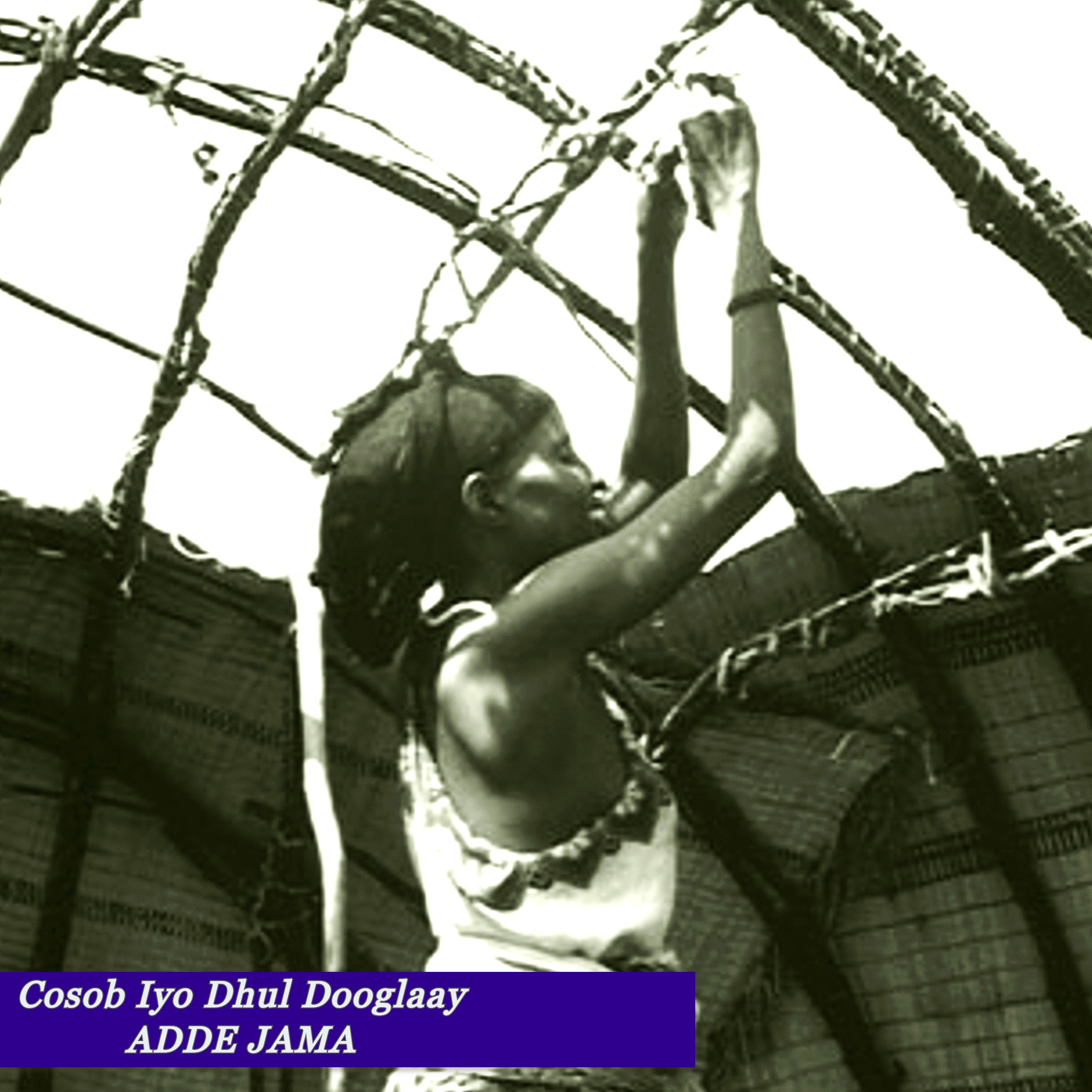 Cosob Iyo Dhul Dooglaay artwork