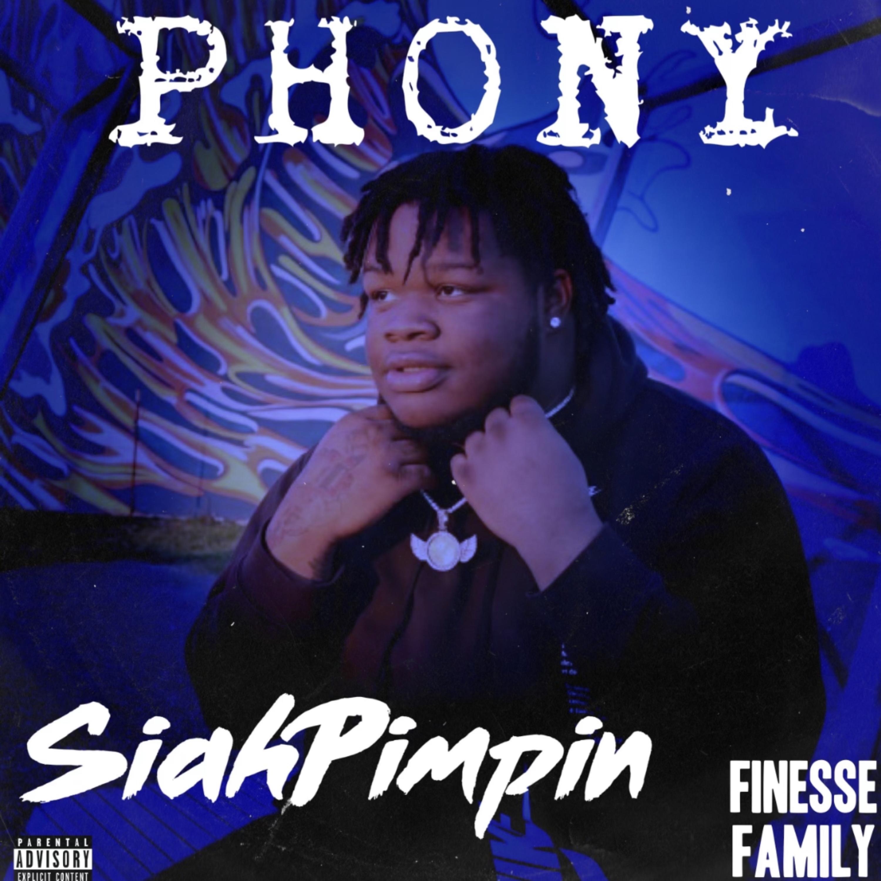 Phony artwork
