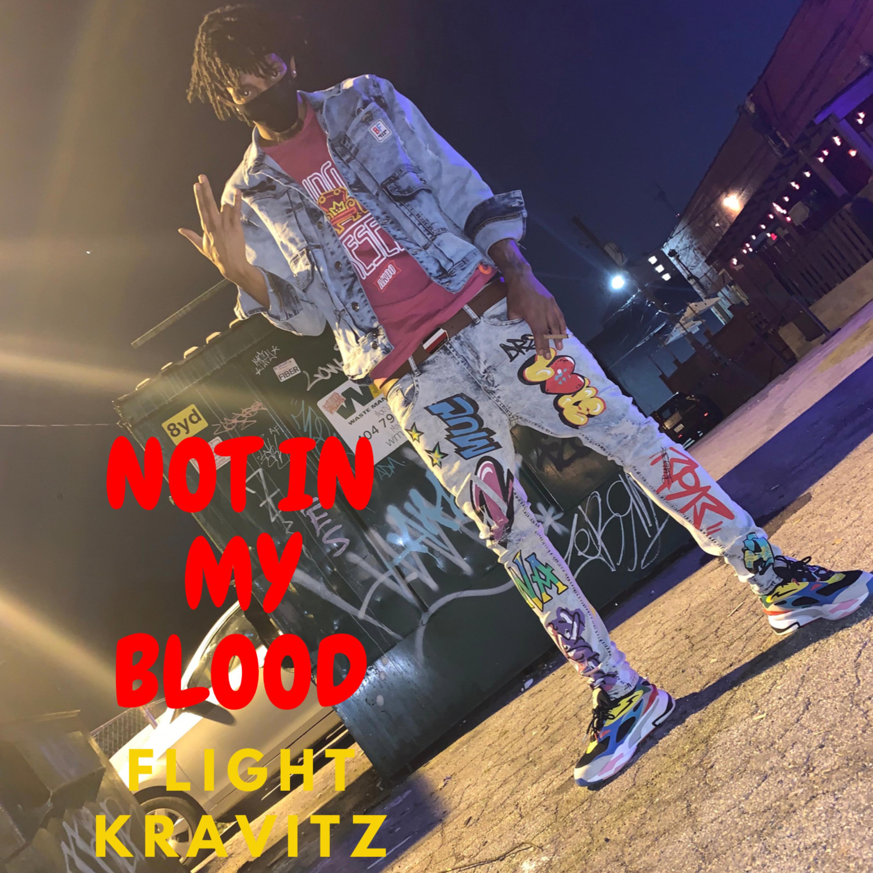 NOT IN MY BLOOD artwork